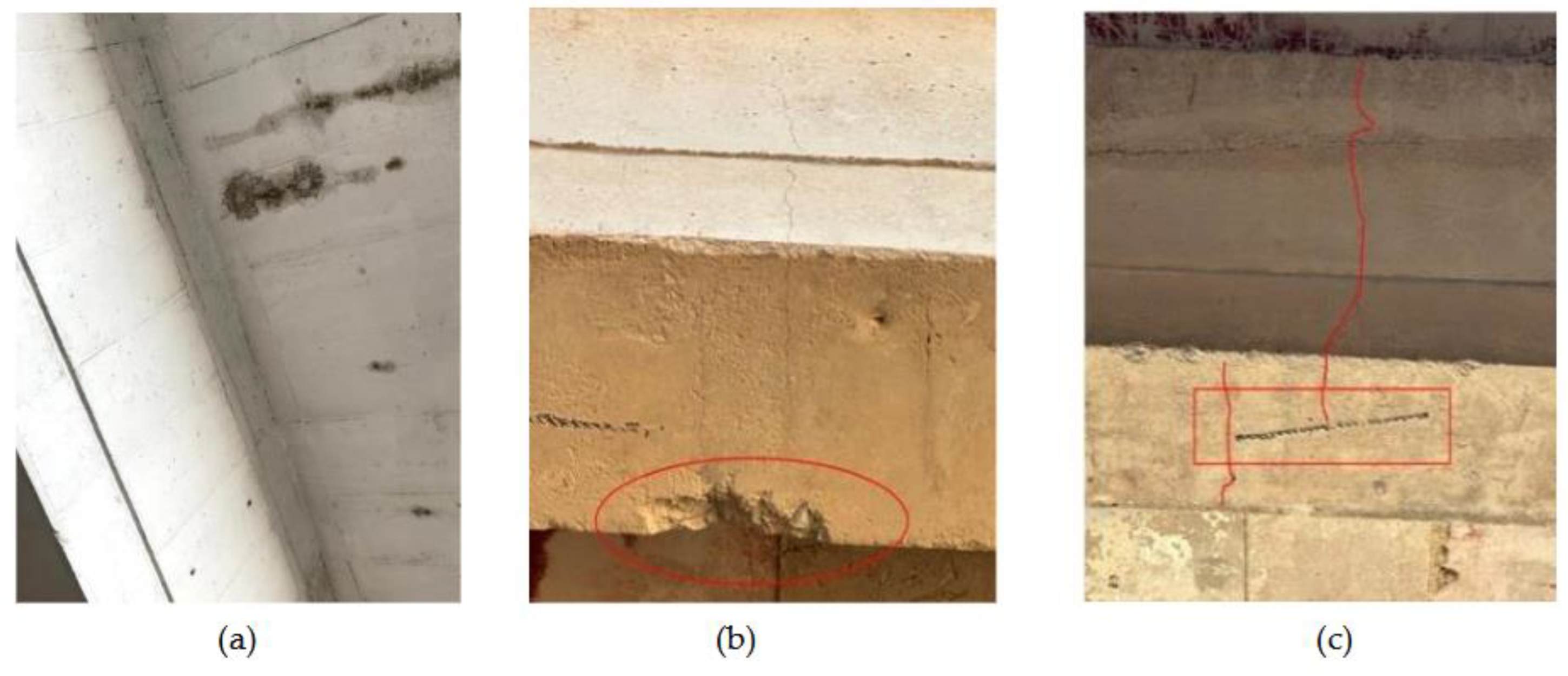 Preprints 154786 g010