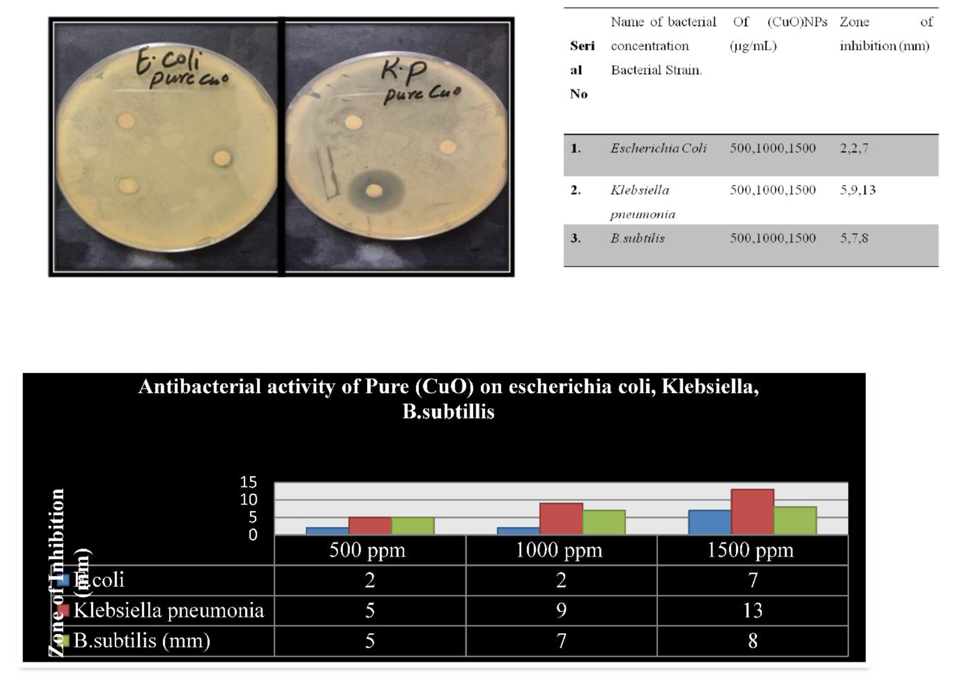 Preprints 173066 g007