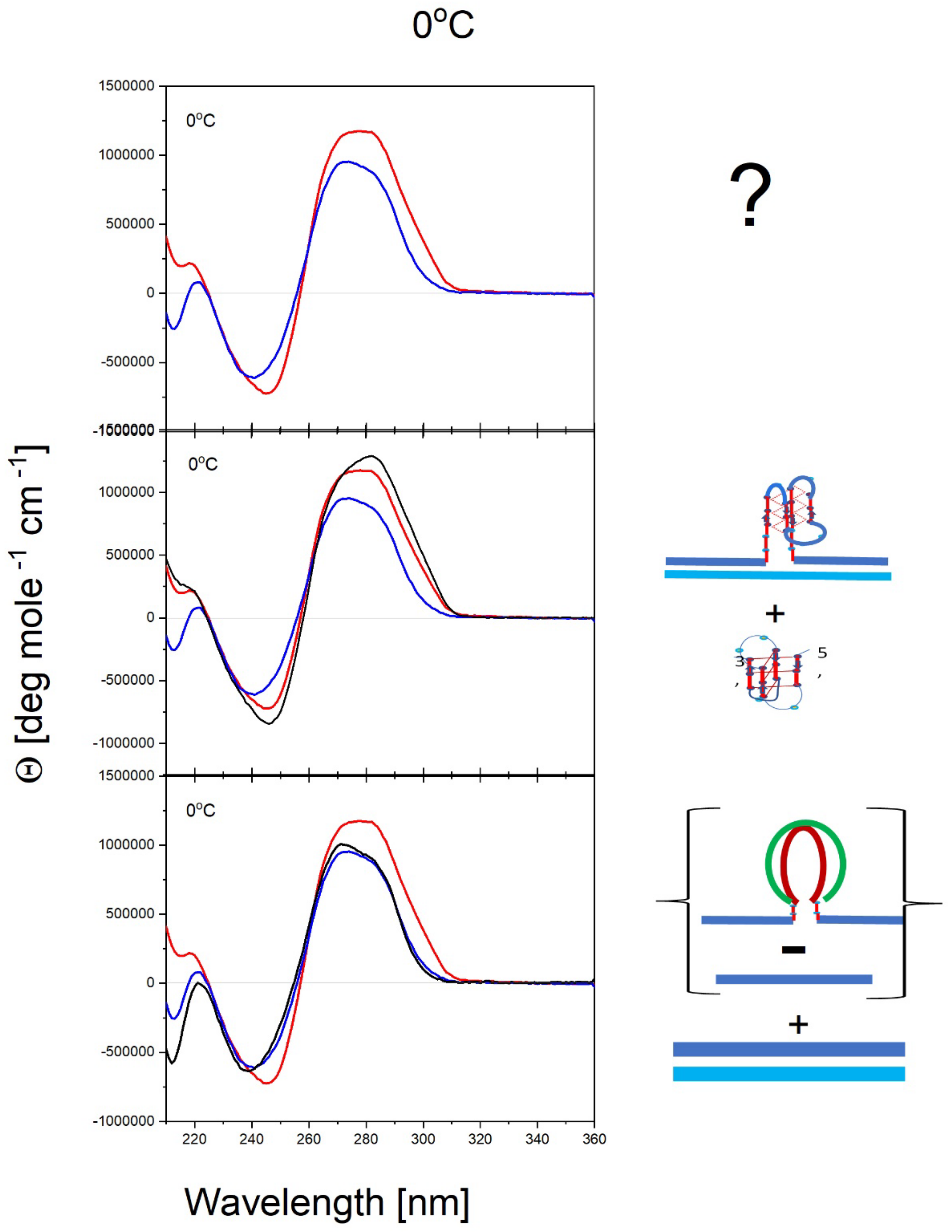 Preprints 139009 g005