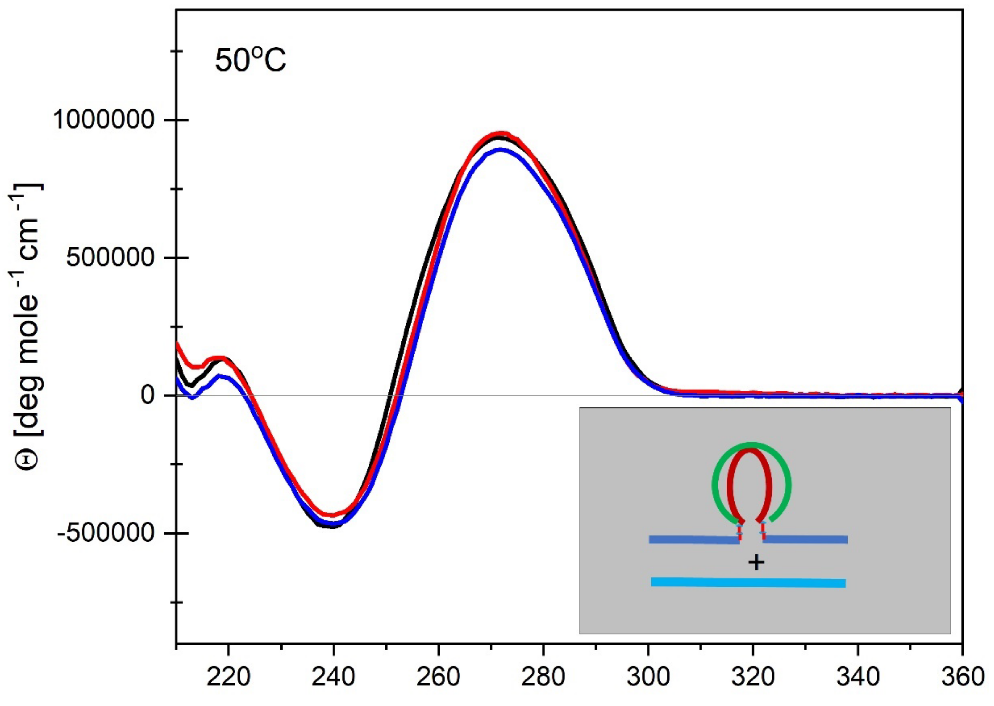 Preprints 139009 g010