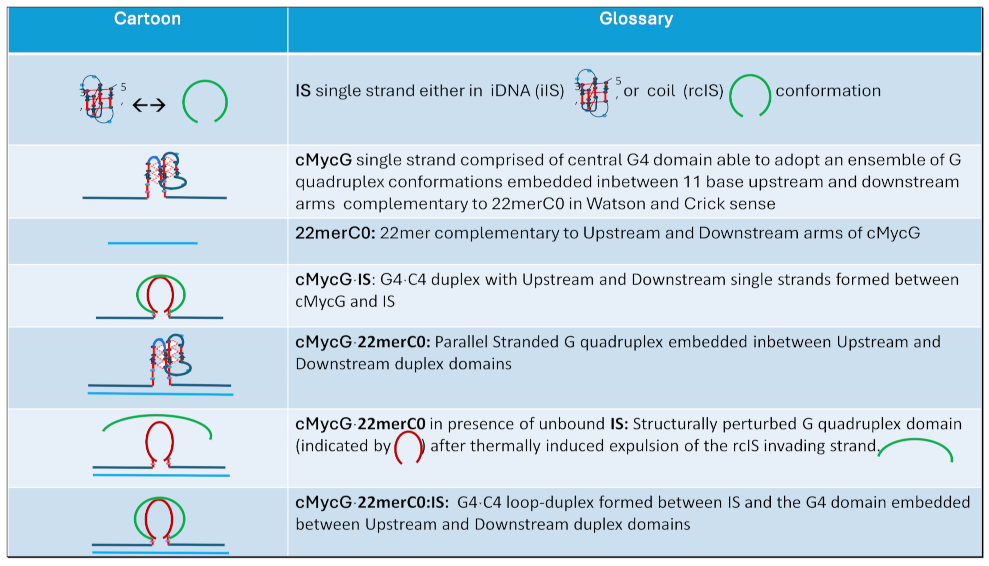 Preprints 139009 i006