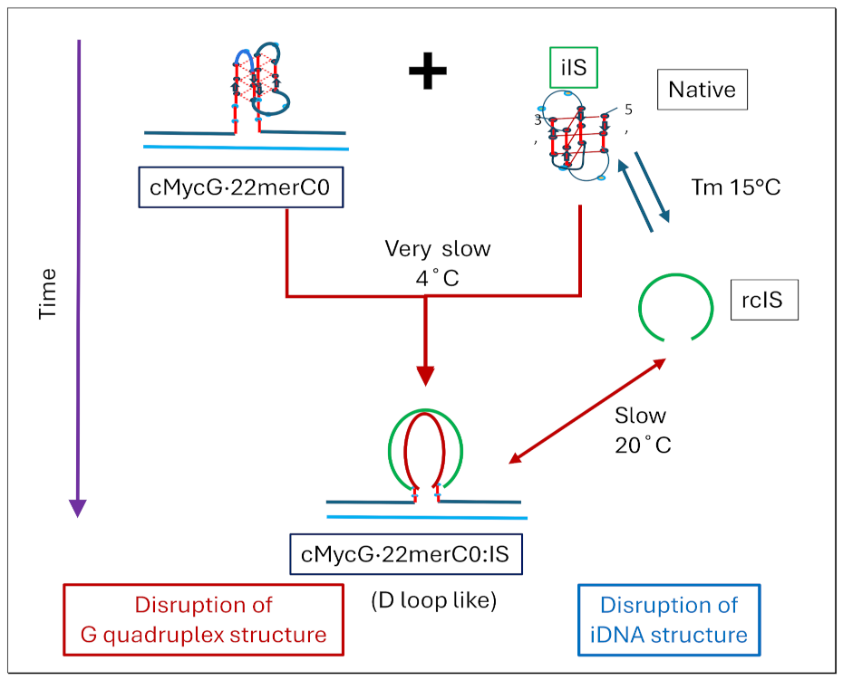 Preprints 139009 i009
