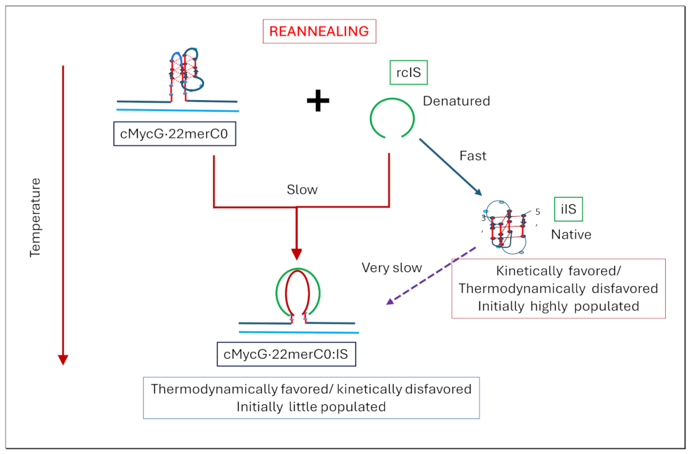 Preprints 139009 i010