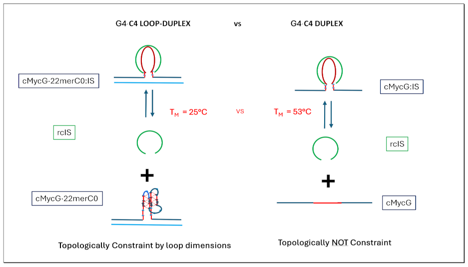 Preprints 139009 i011