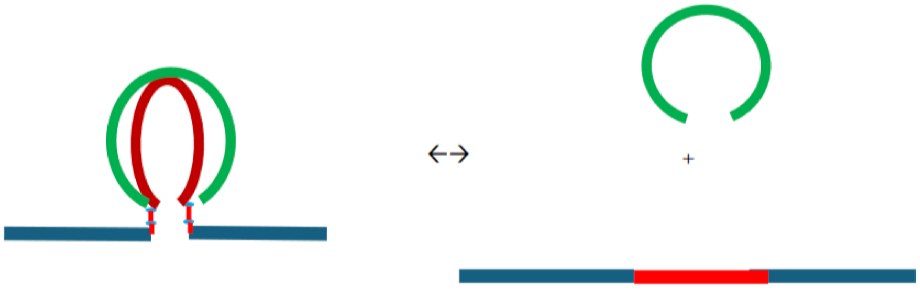 Preprints 139009 i013