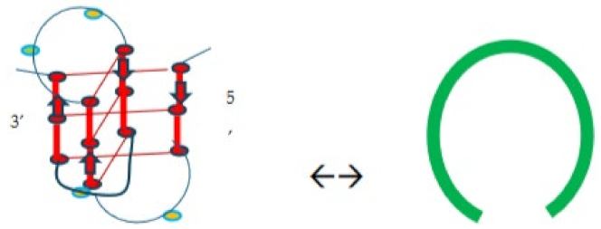 Preprints 139009 i014