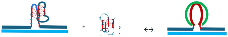 Preprints 139009 i015