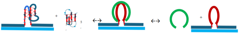 Preprints 139009 i016