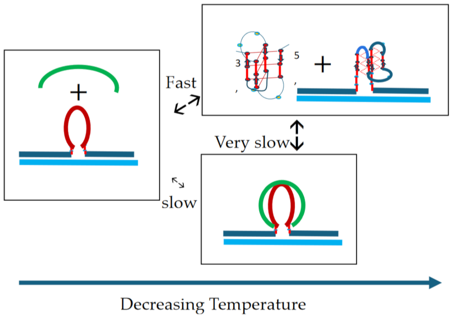Preprints 139009 i017
