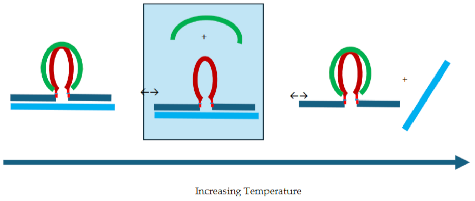 Preprints 139009 i019