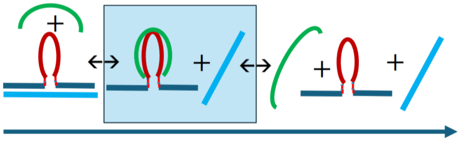Preprints 139009 i020