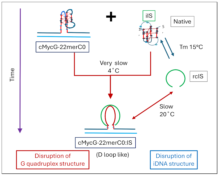 Preprints 139009 i022