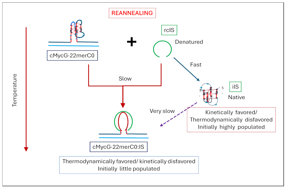 Preprints 139009 i023