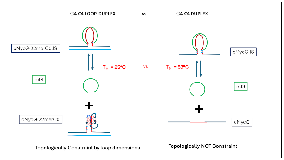 Preprints 139009 i024