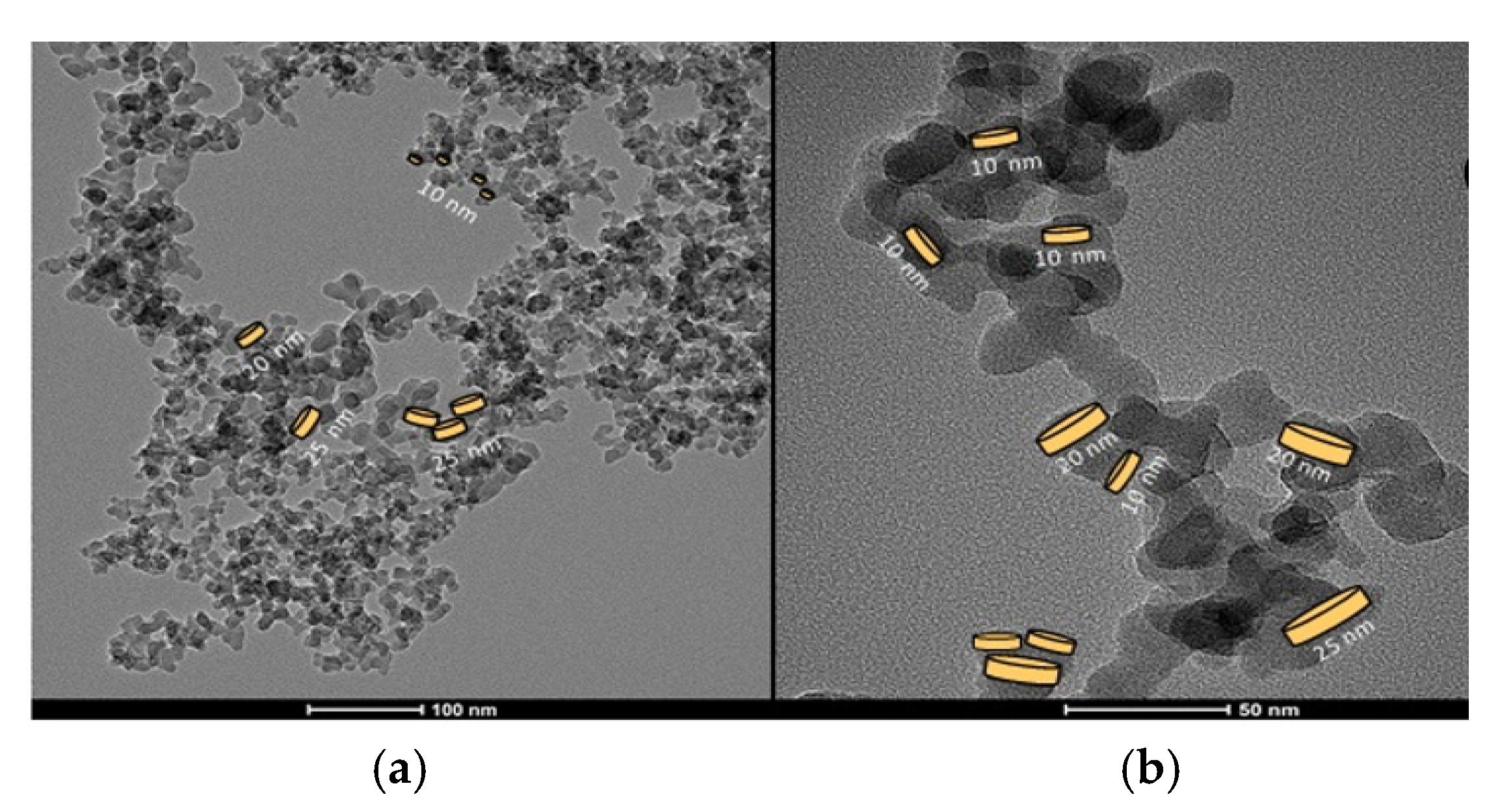 Preprints 151186 g002