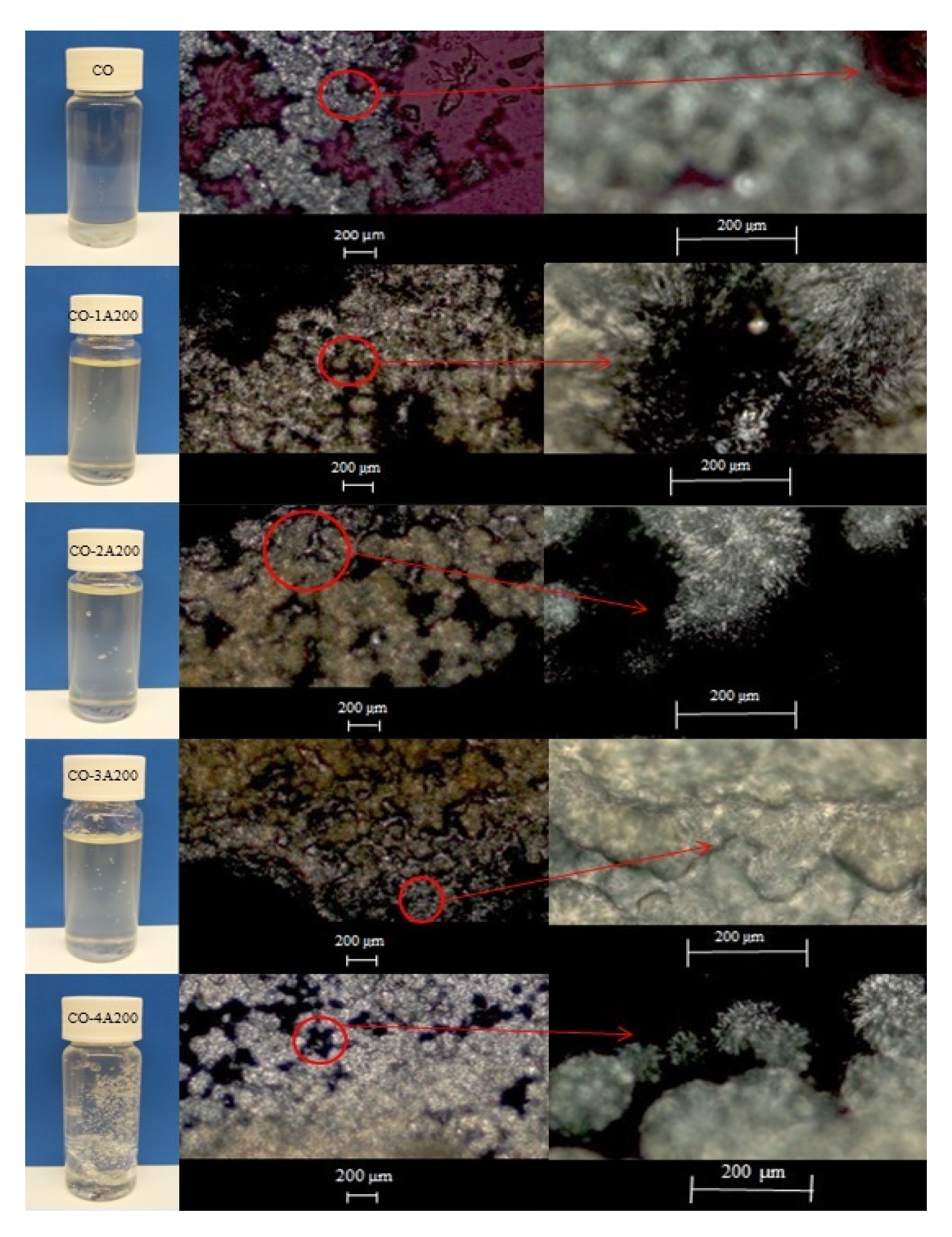 Preprints 151186 g003