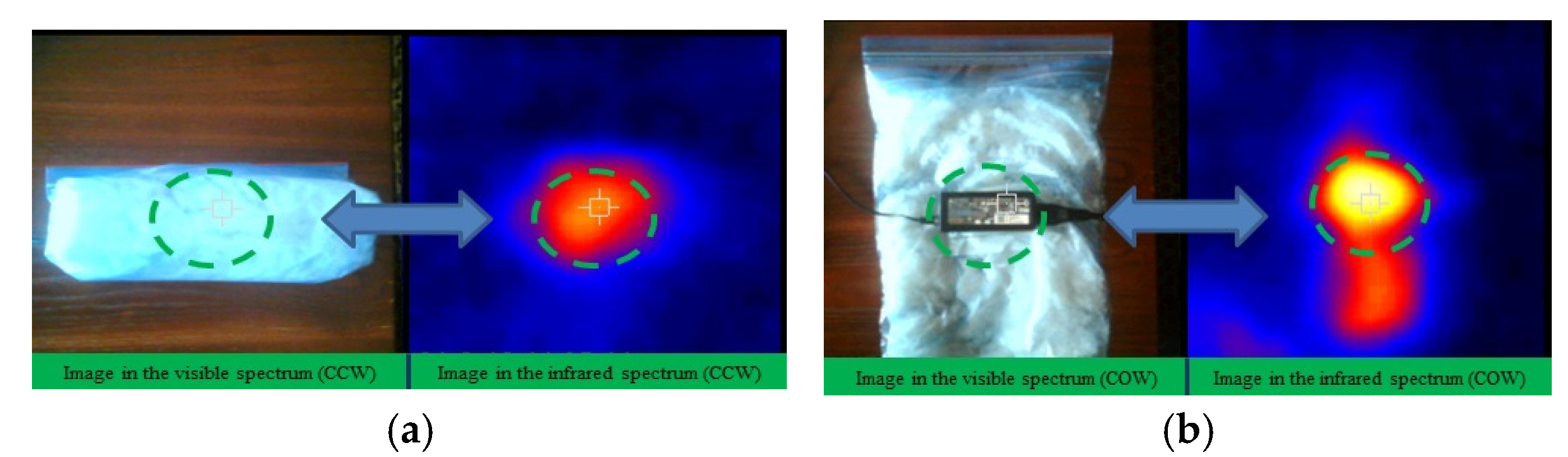 Preprints 151186 g009