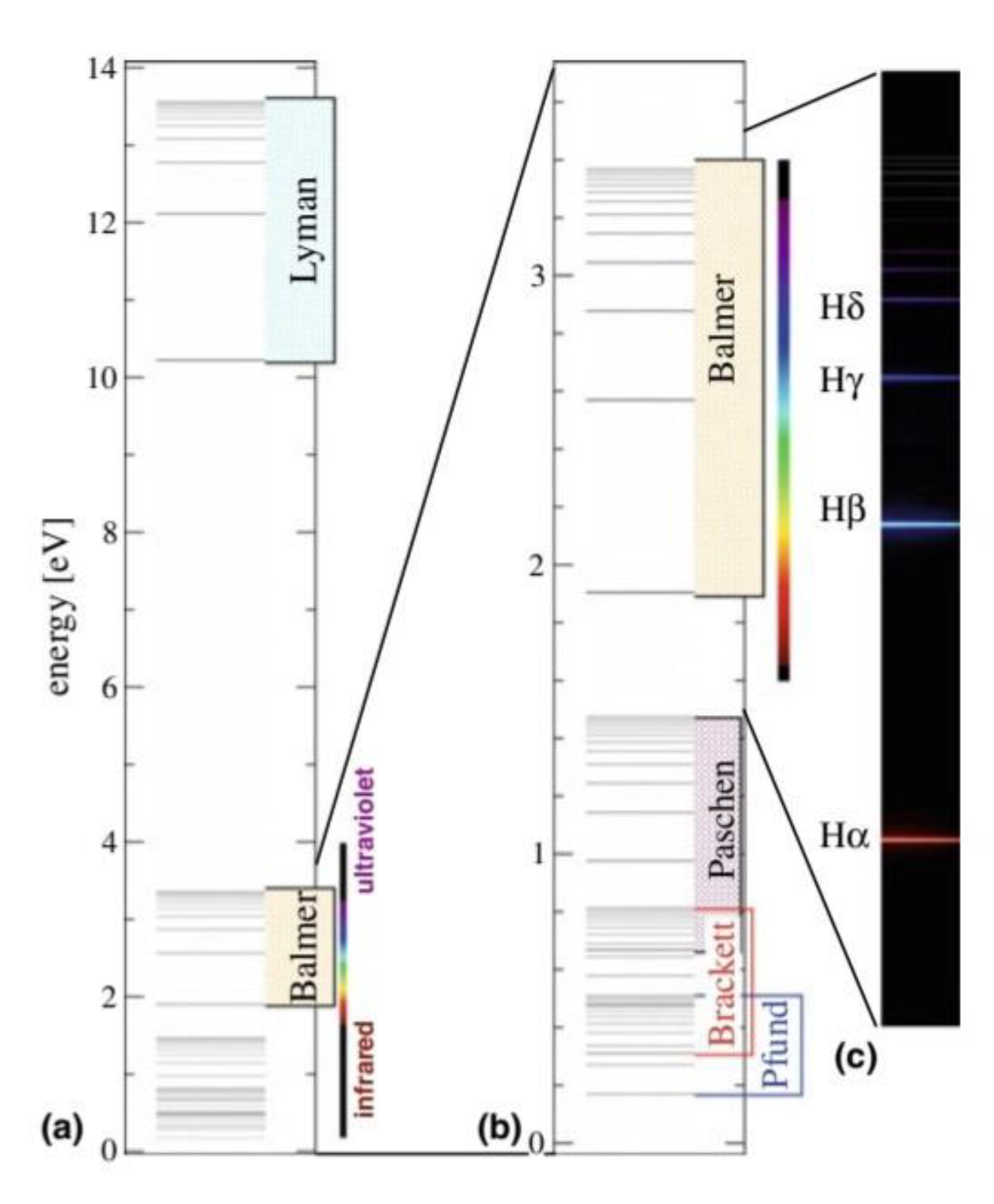 Preprints 193437 g002