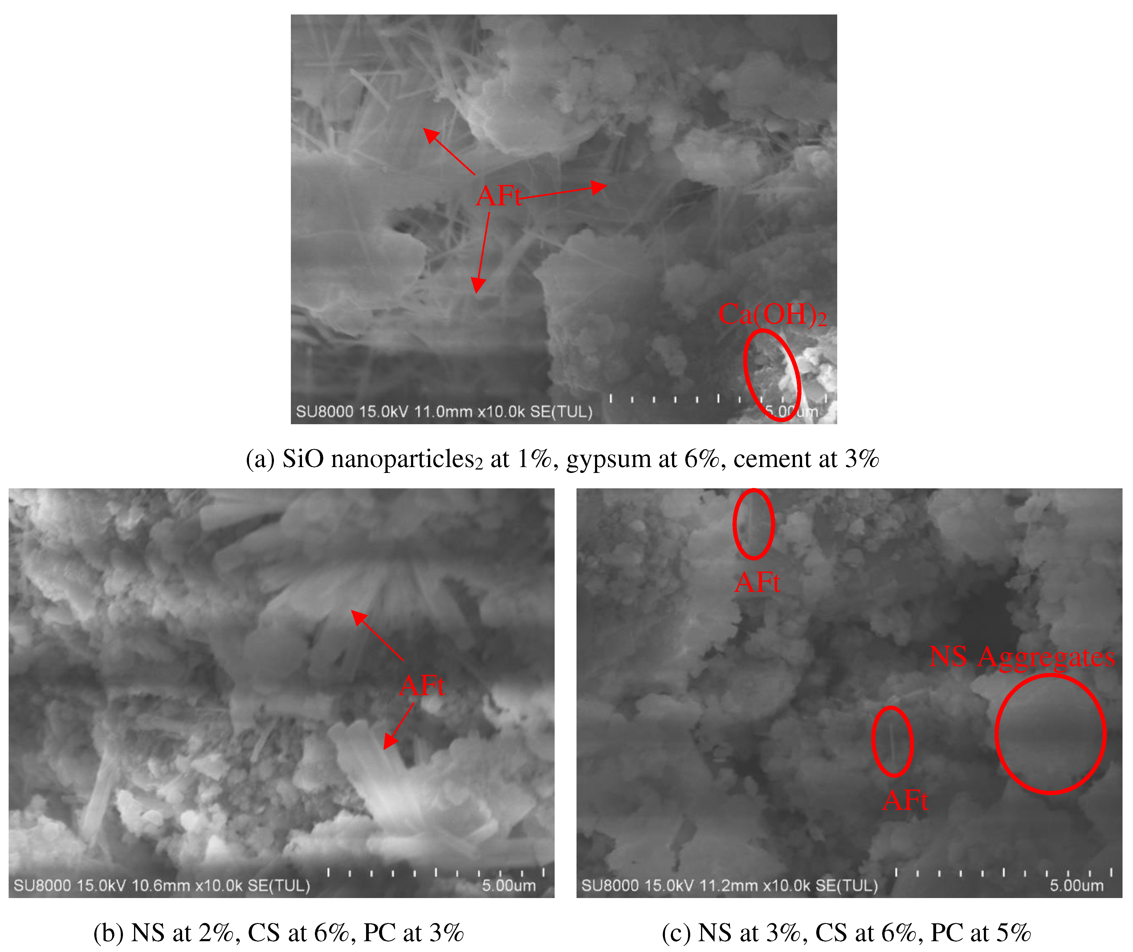 Preprints 79216 g006