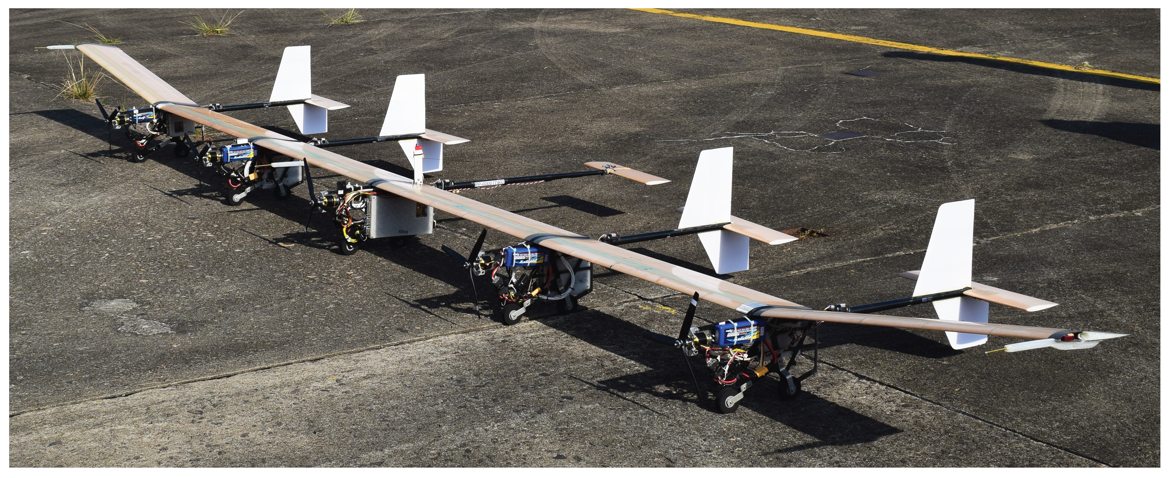 Preprints 160105 g001