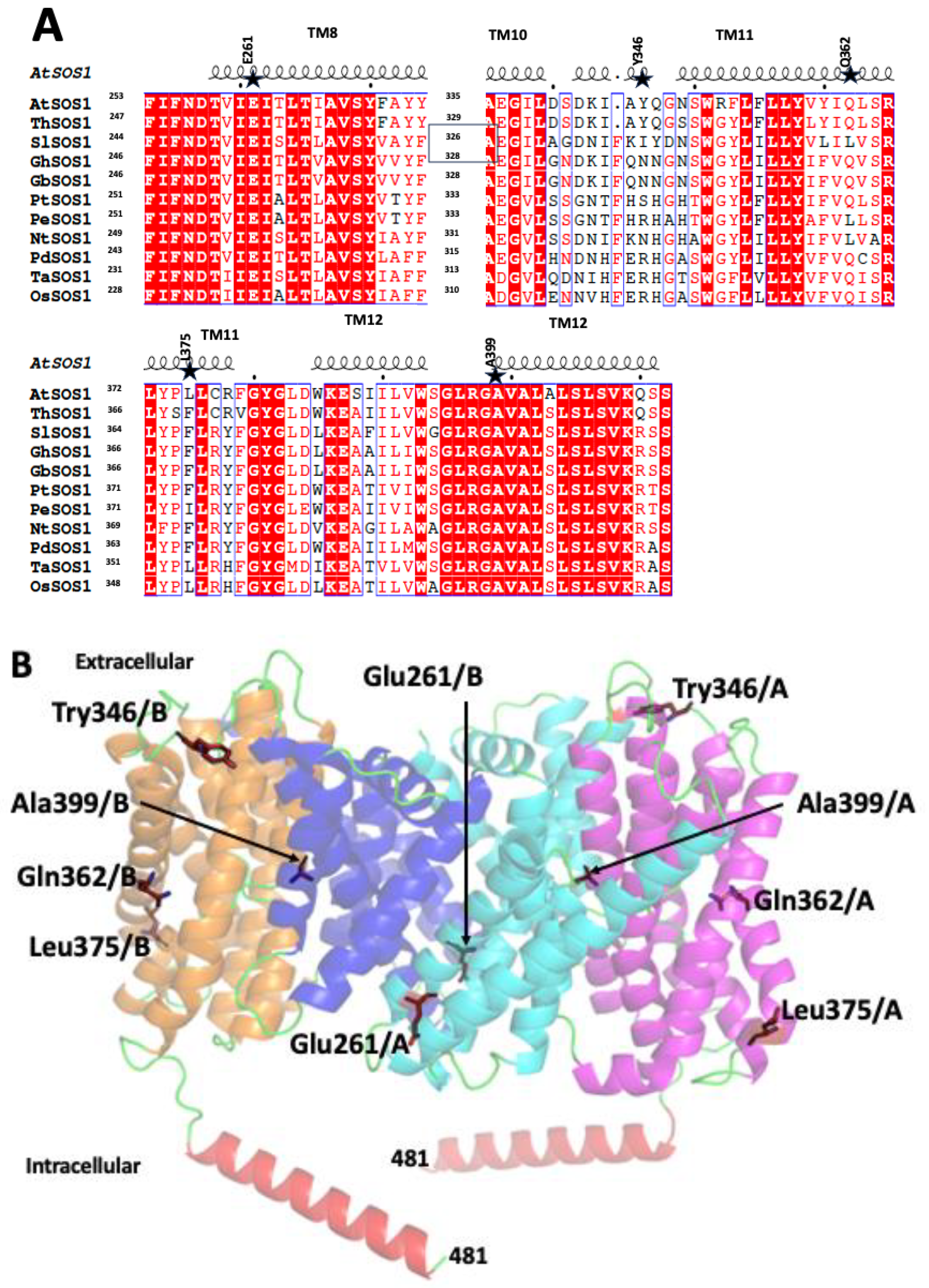 Preprints 147595 g001a
