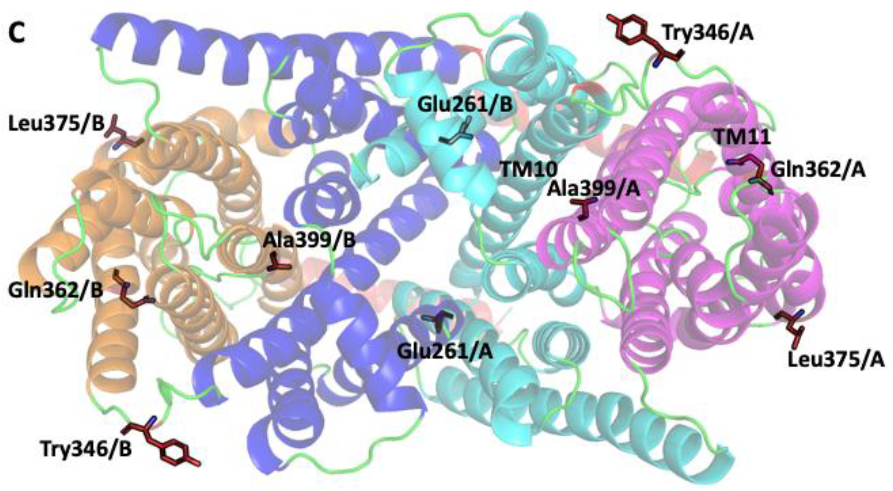 Preprints 147595 g001b