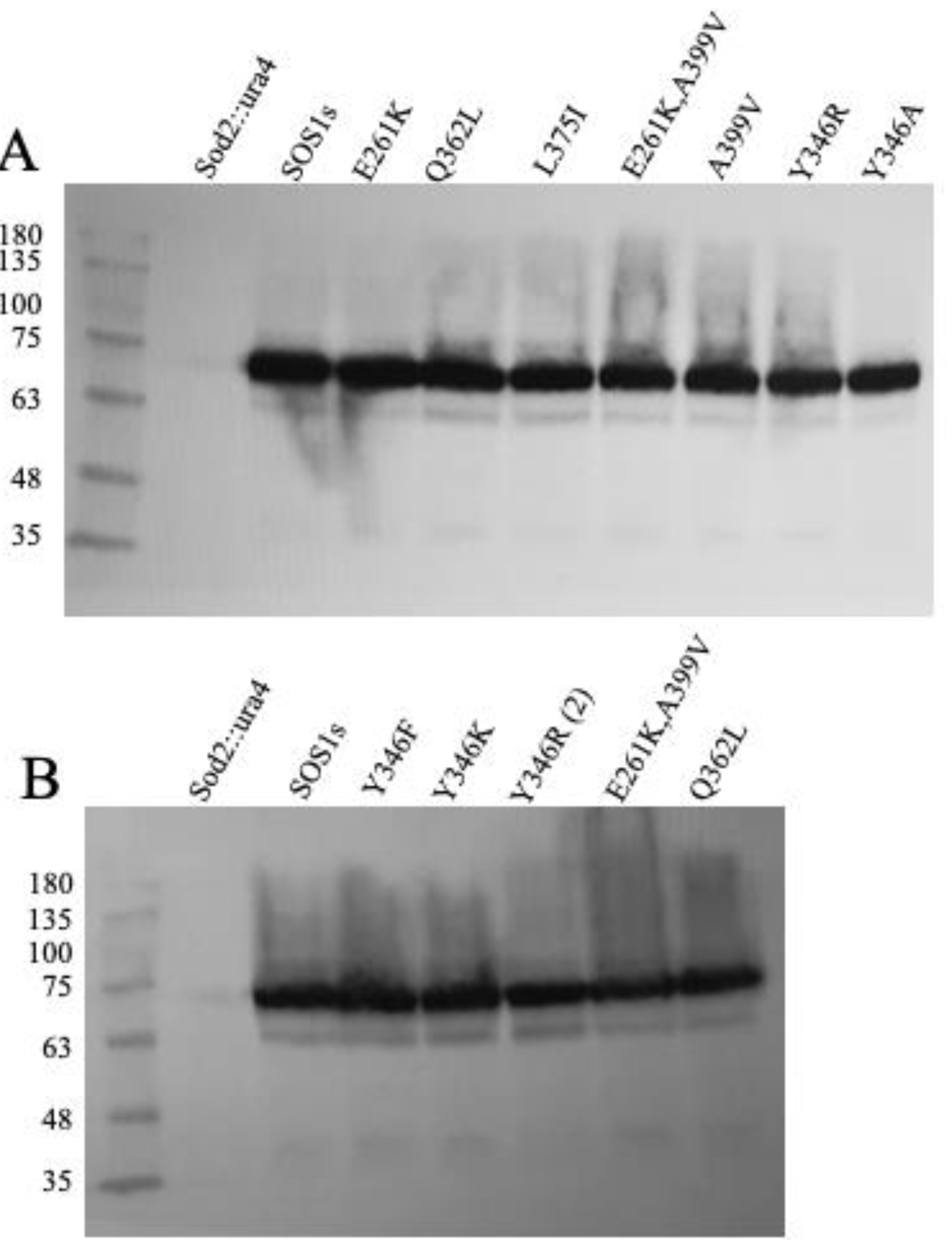 Preprints 147595 g003