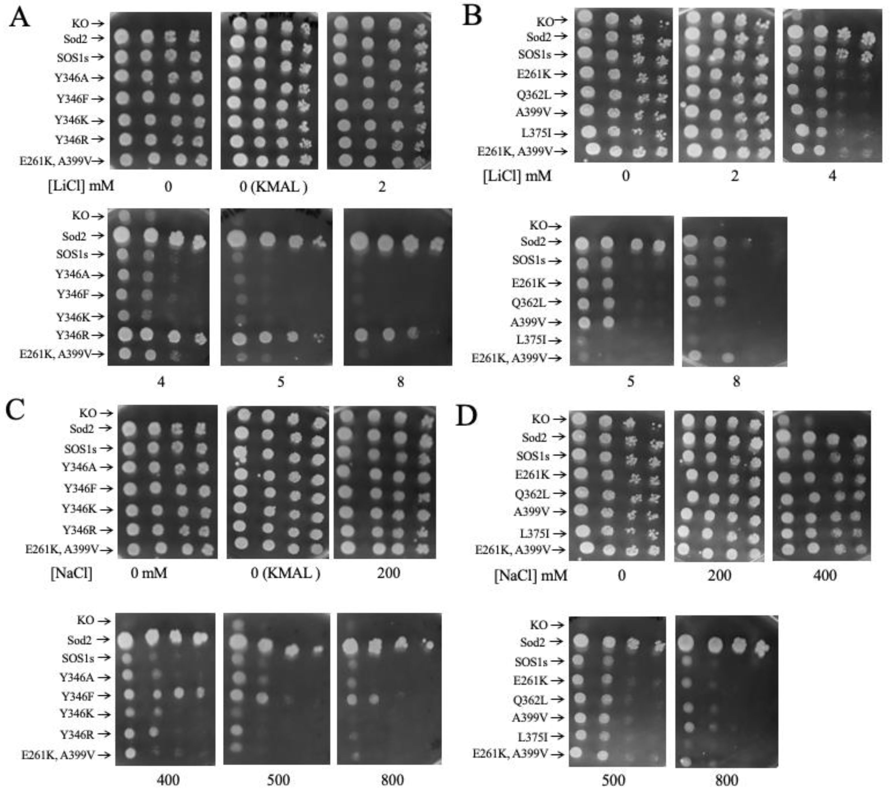 Preprints 147595 g005