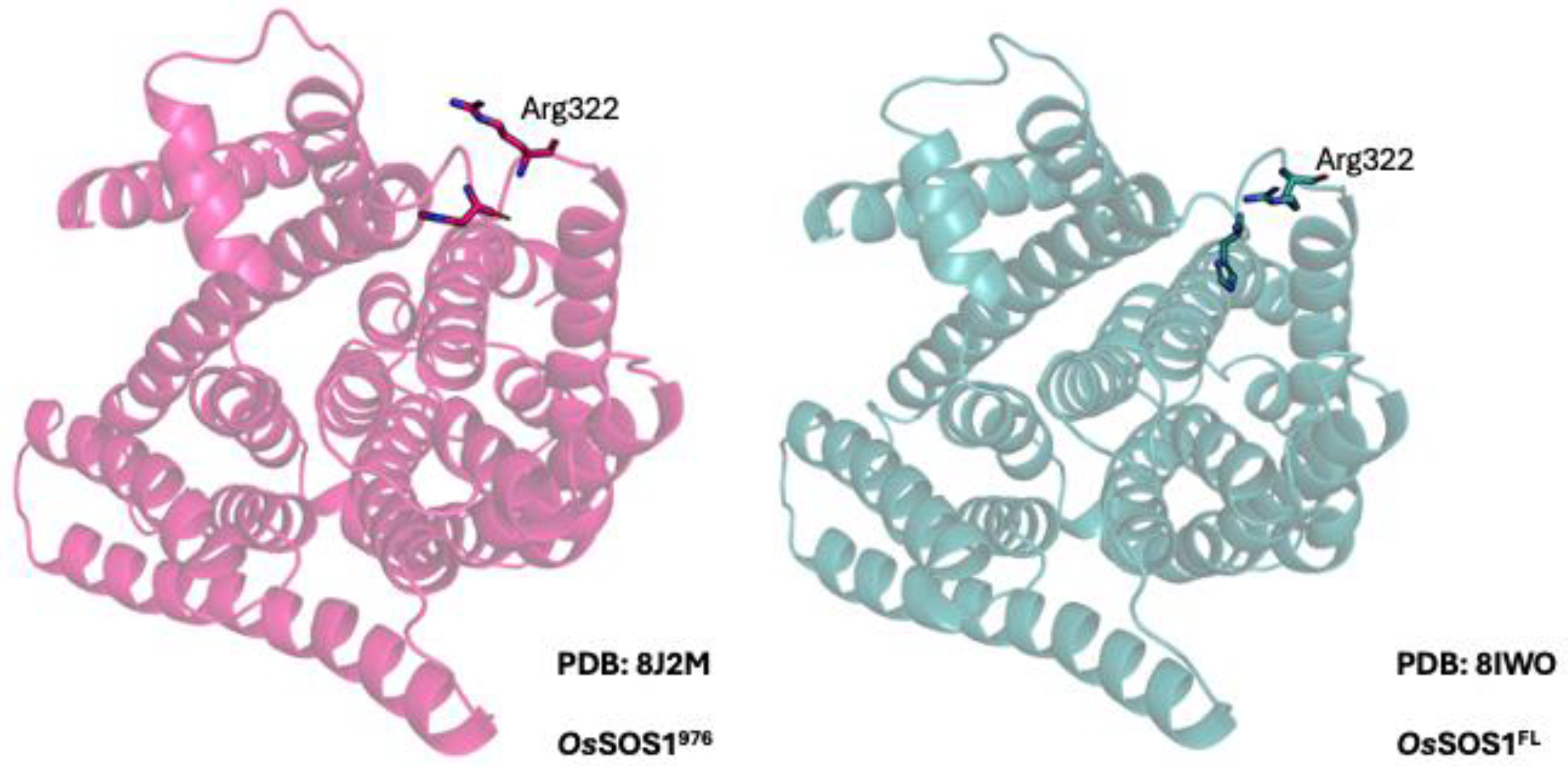 Preprints 147595 g006