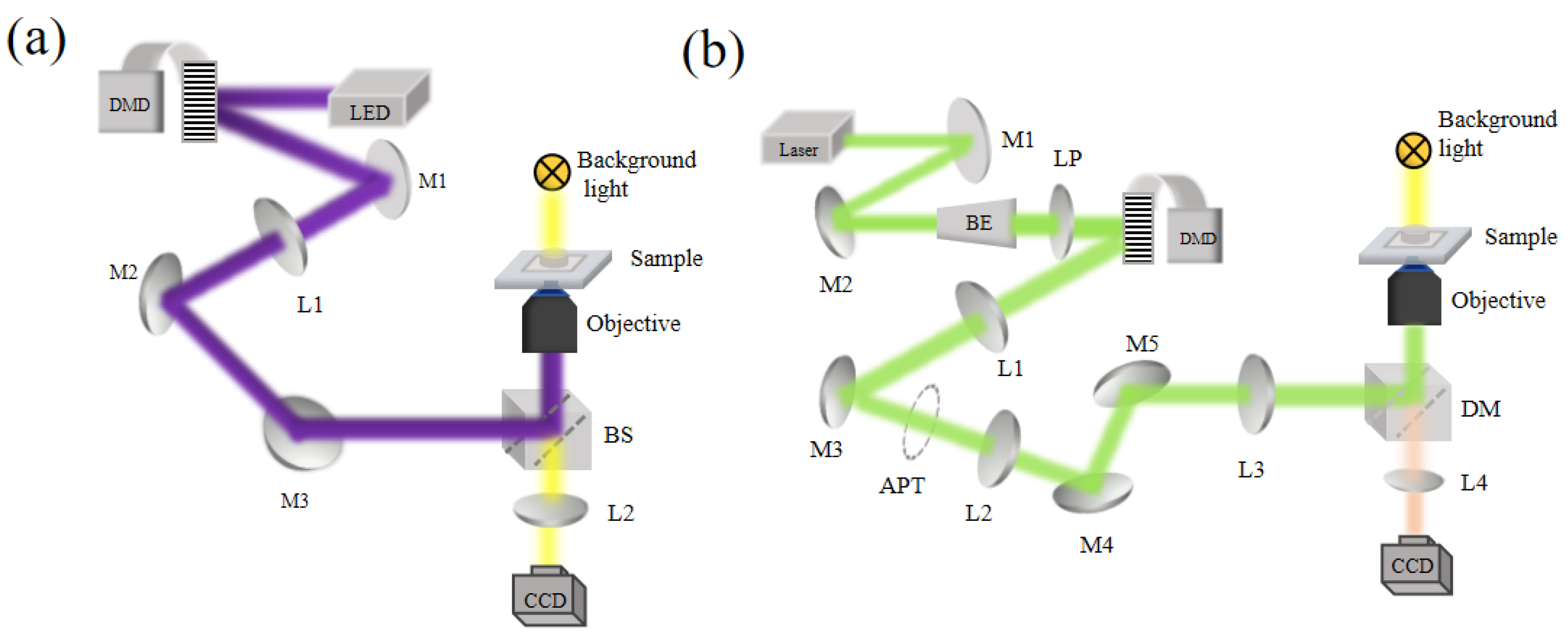 Preprints 102799 g001