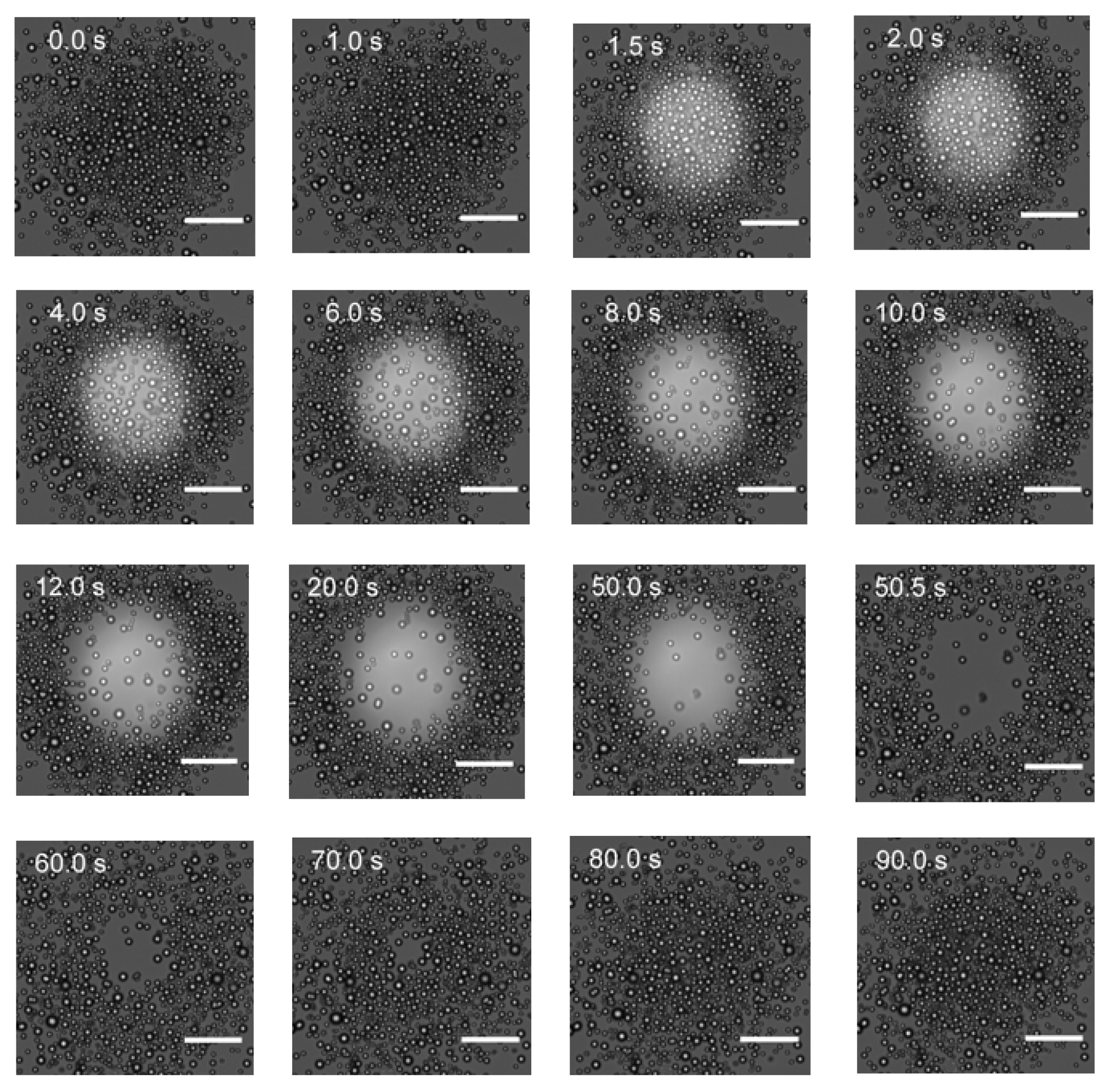 Preprints 102799 g002