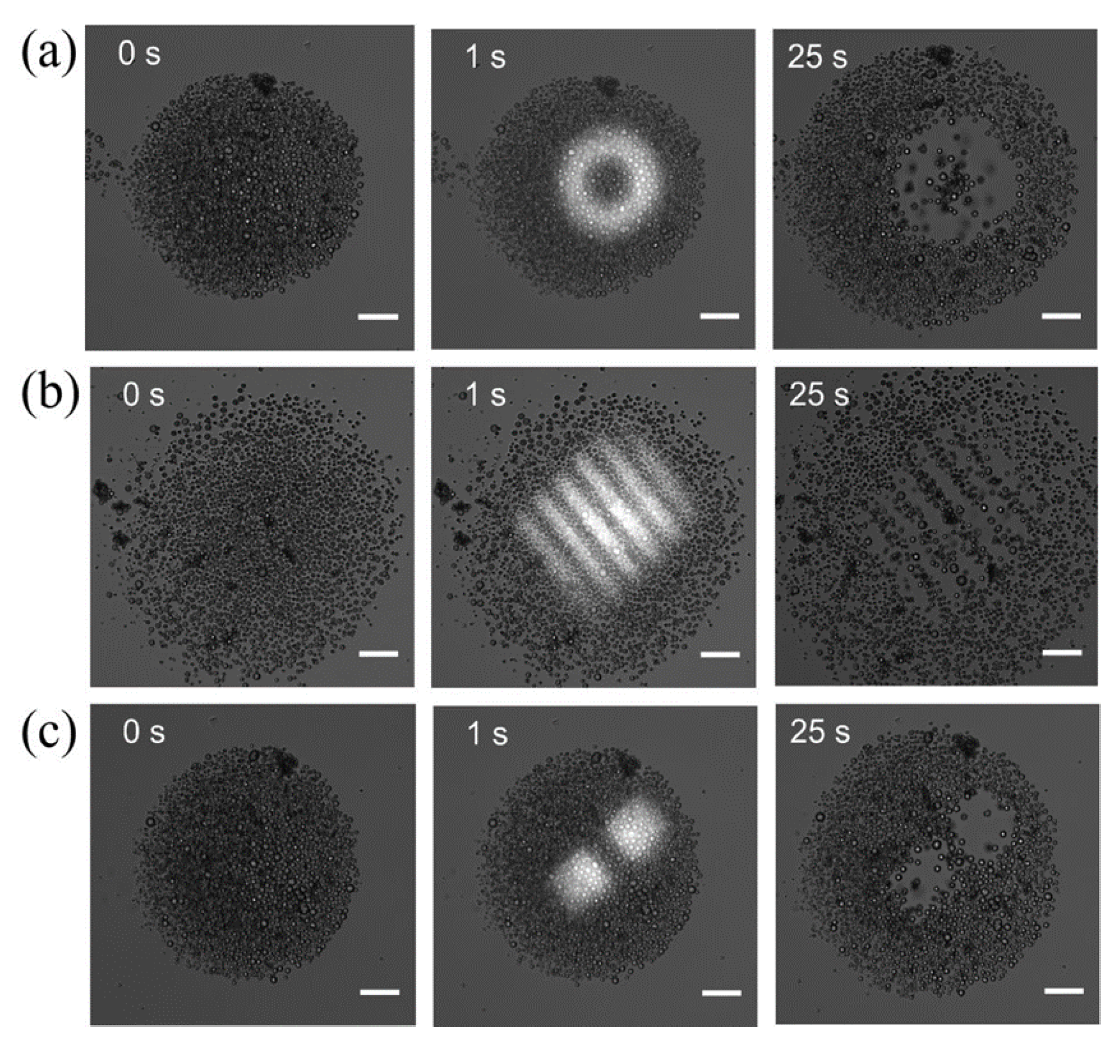 Preprints 102799 g005