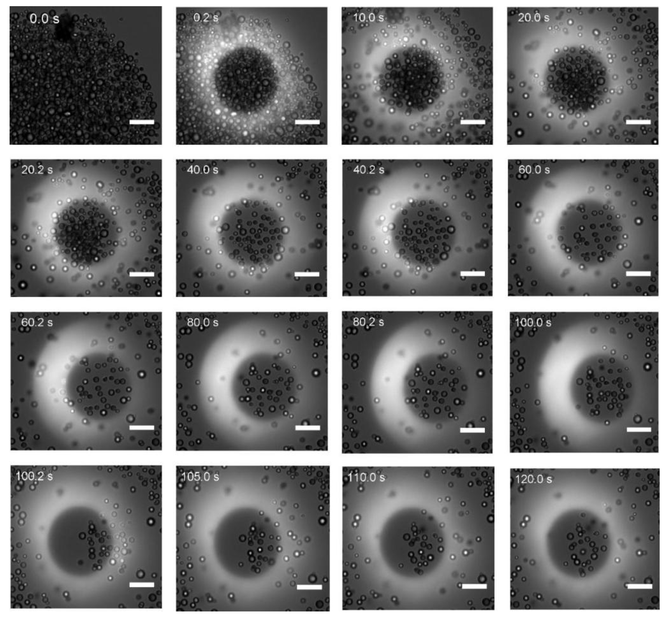 Preprints 102799 g008