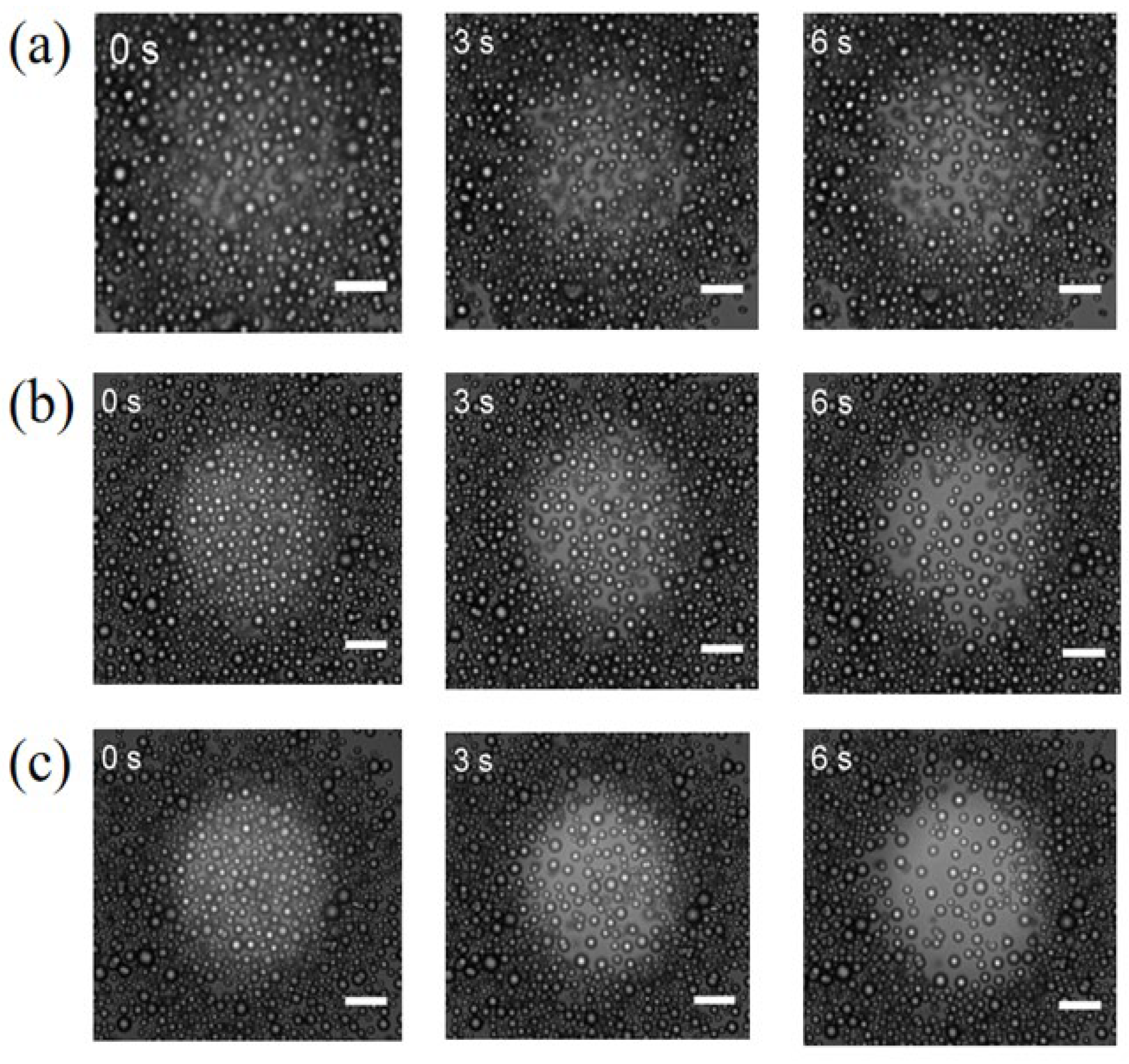 Preprints 102799 g0a1
