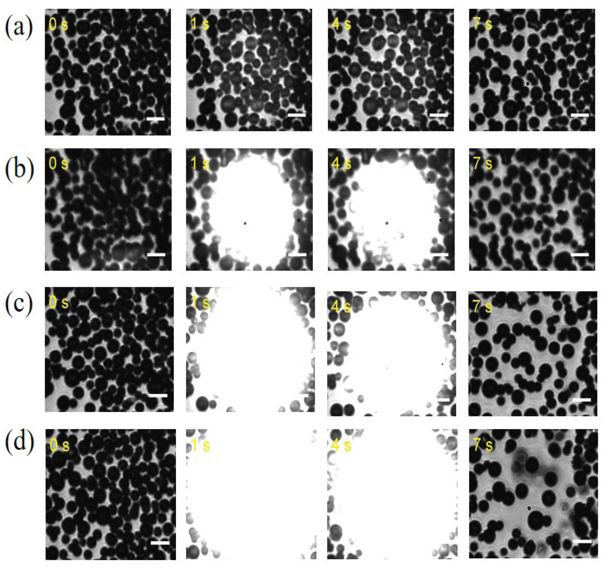 Preprints 102799 g0a2