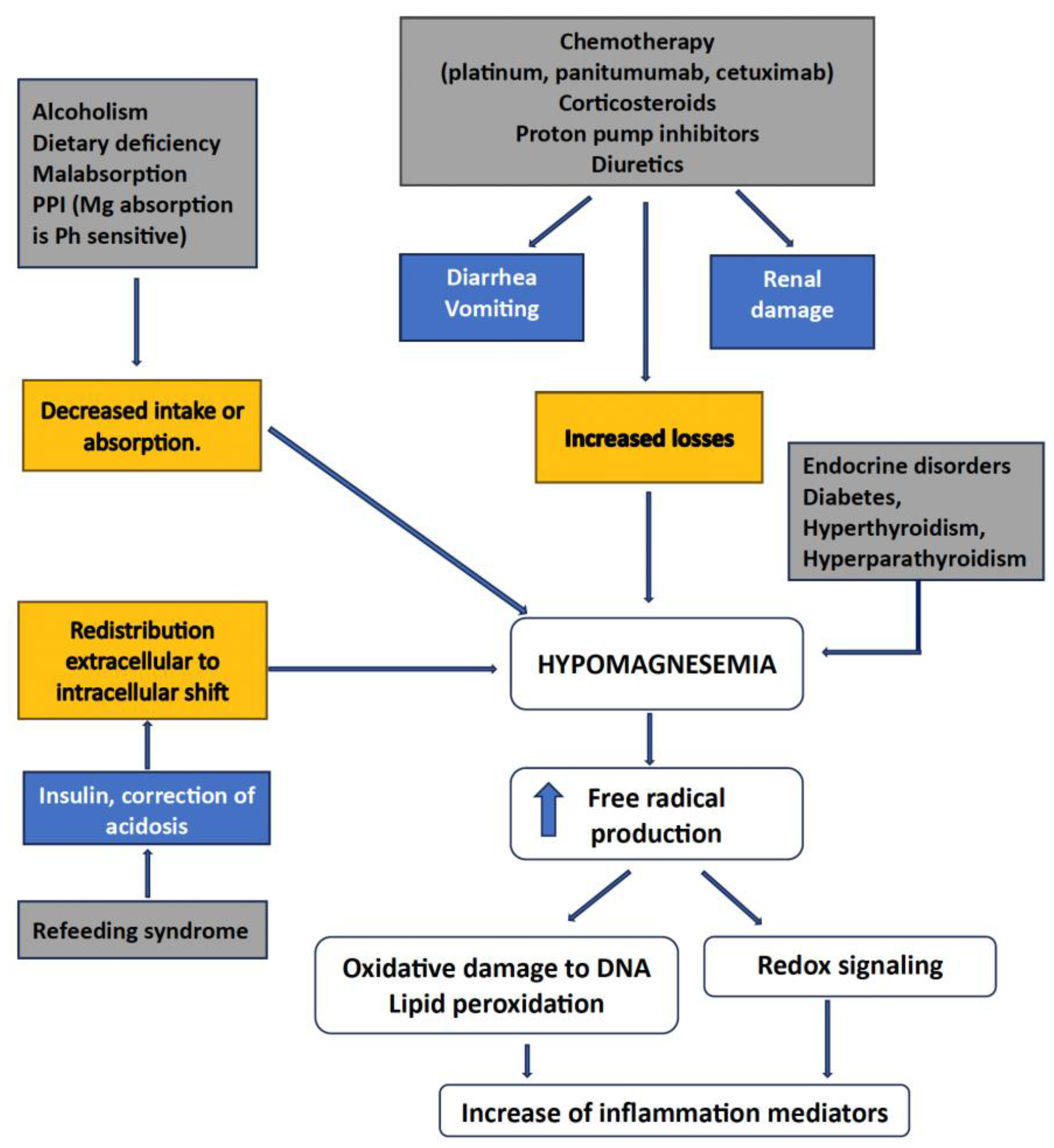 Preprints 158980 g001