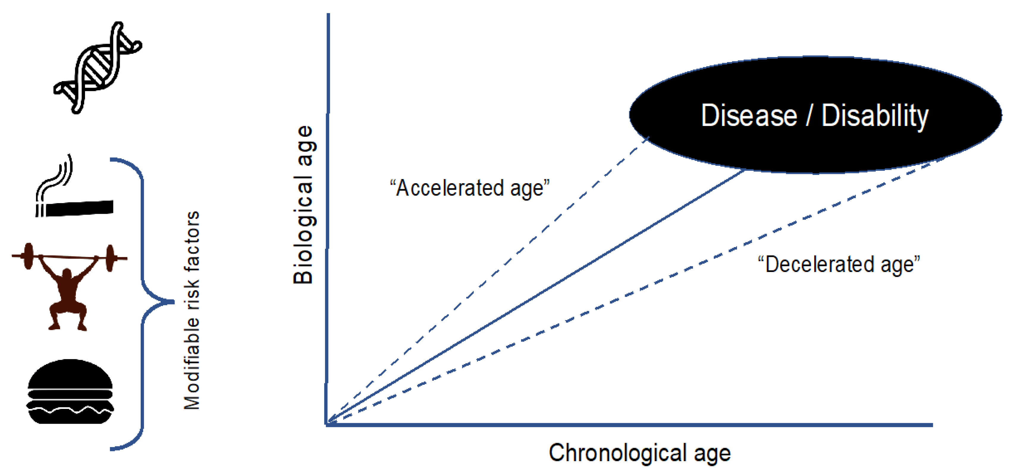 Preprints 165006 g001