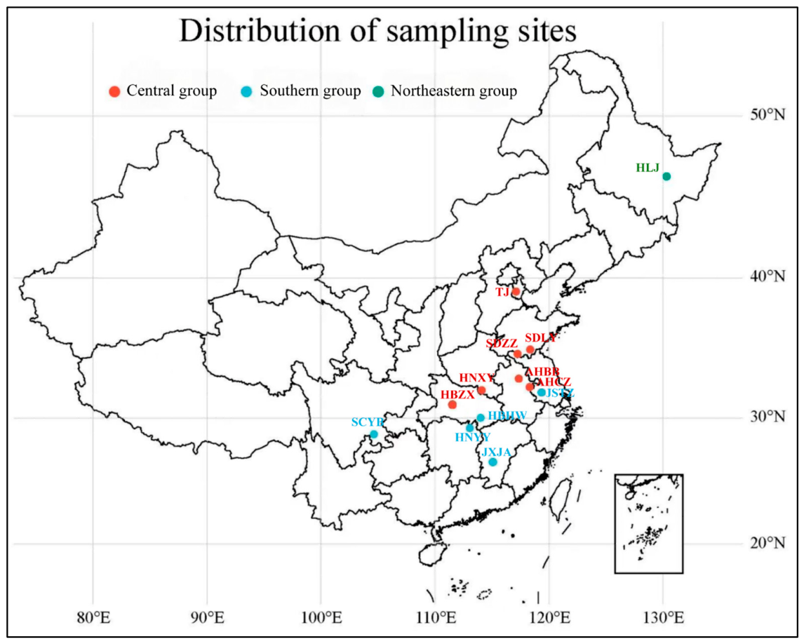 Preprints 228874 g001