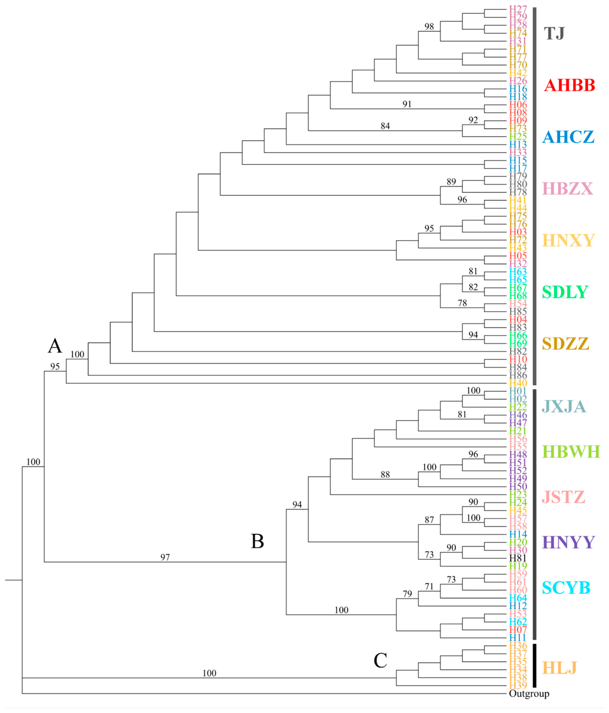 Preprints 228874 g003