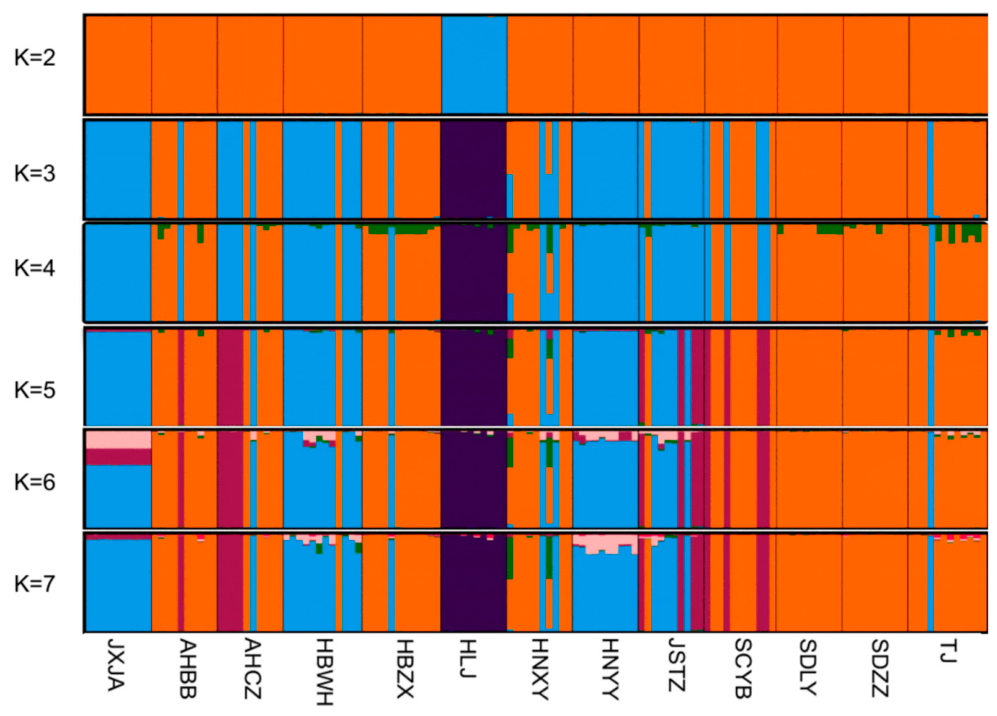 Preprints 228874 g004