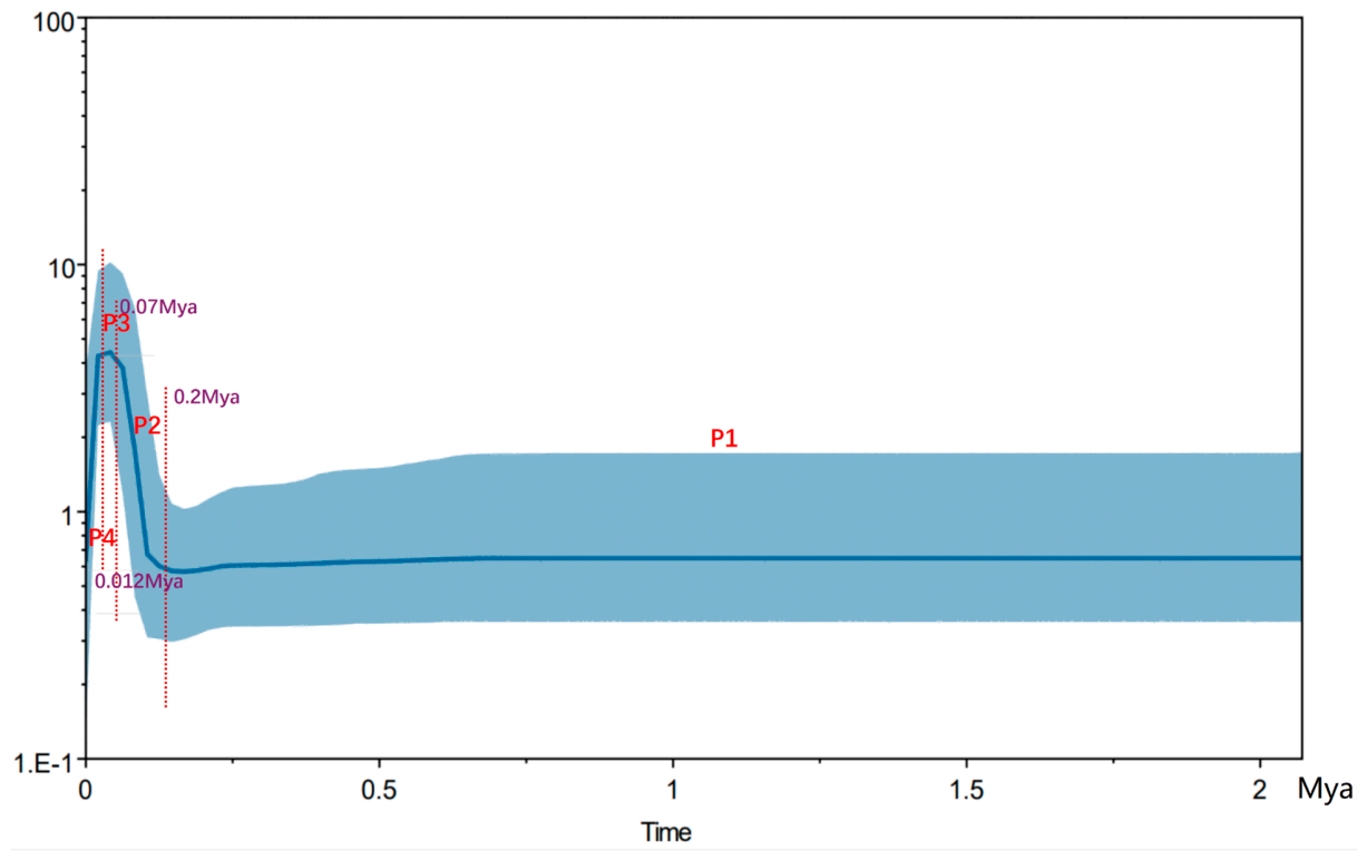 Preprints 228874 g005