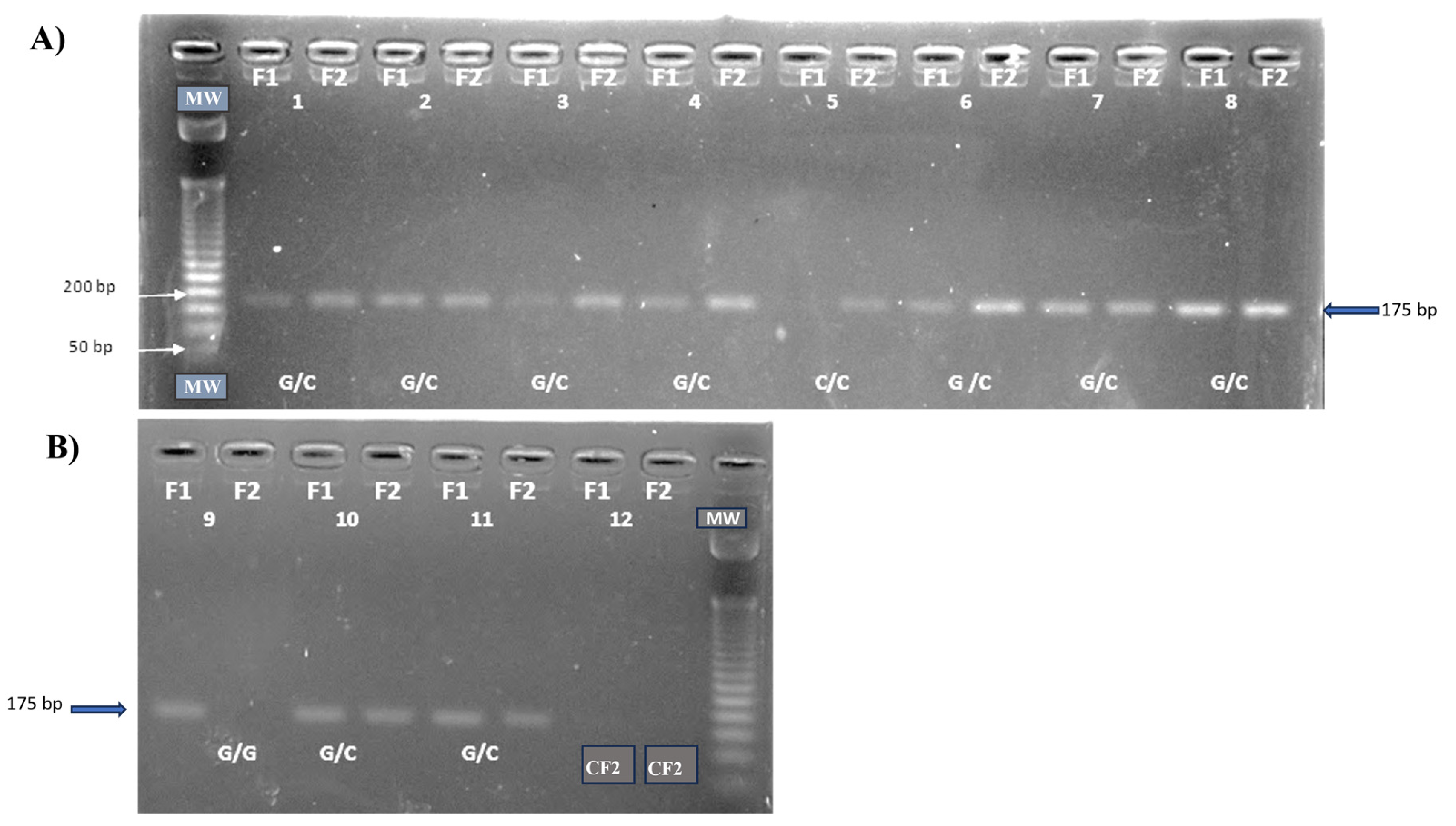 Preprints 178240 g001