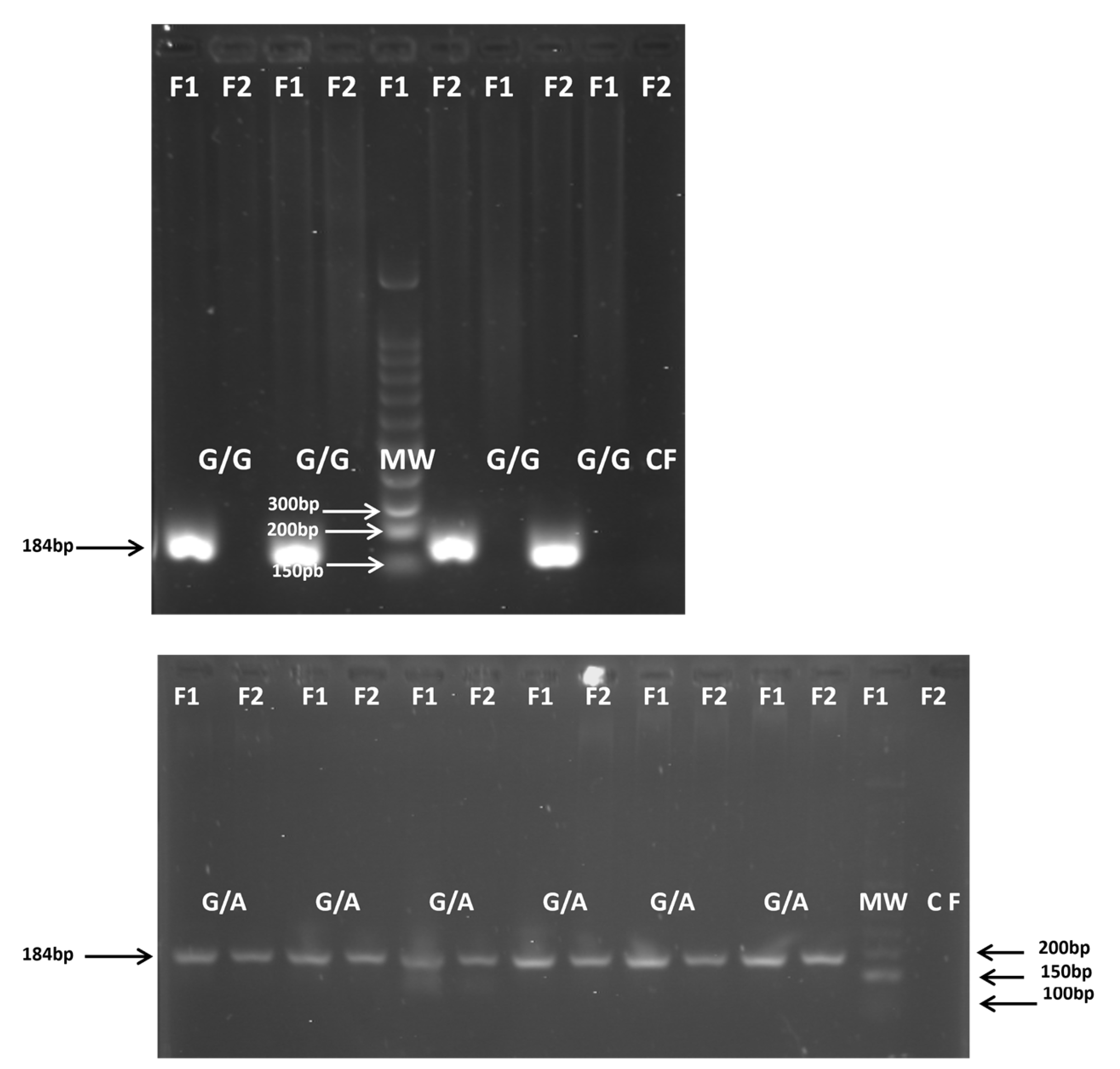 Preprints 178240 g002