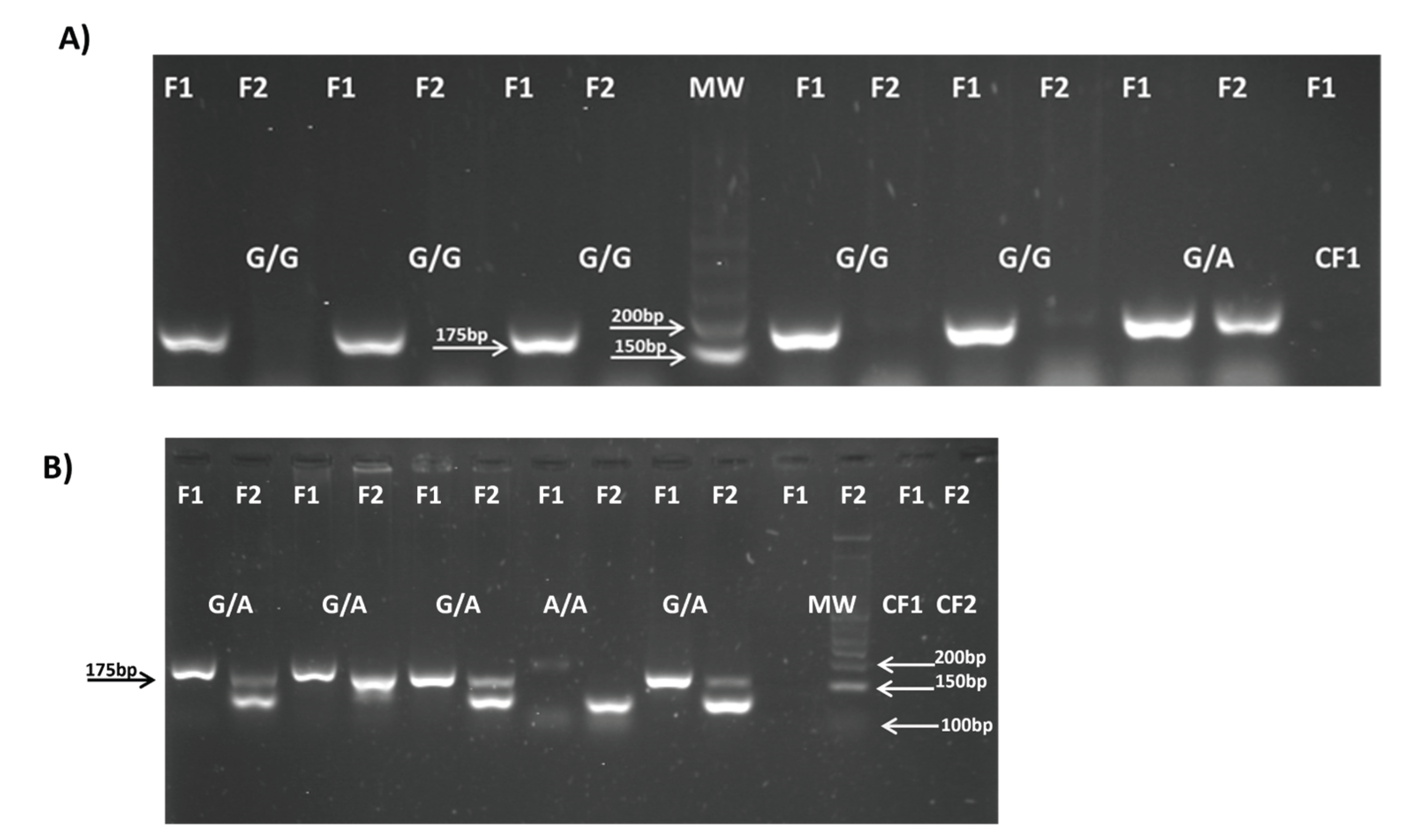 Preprints 178240 g003