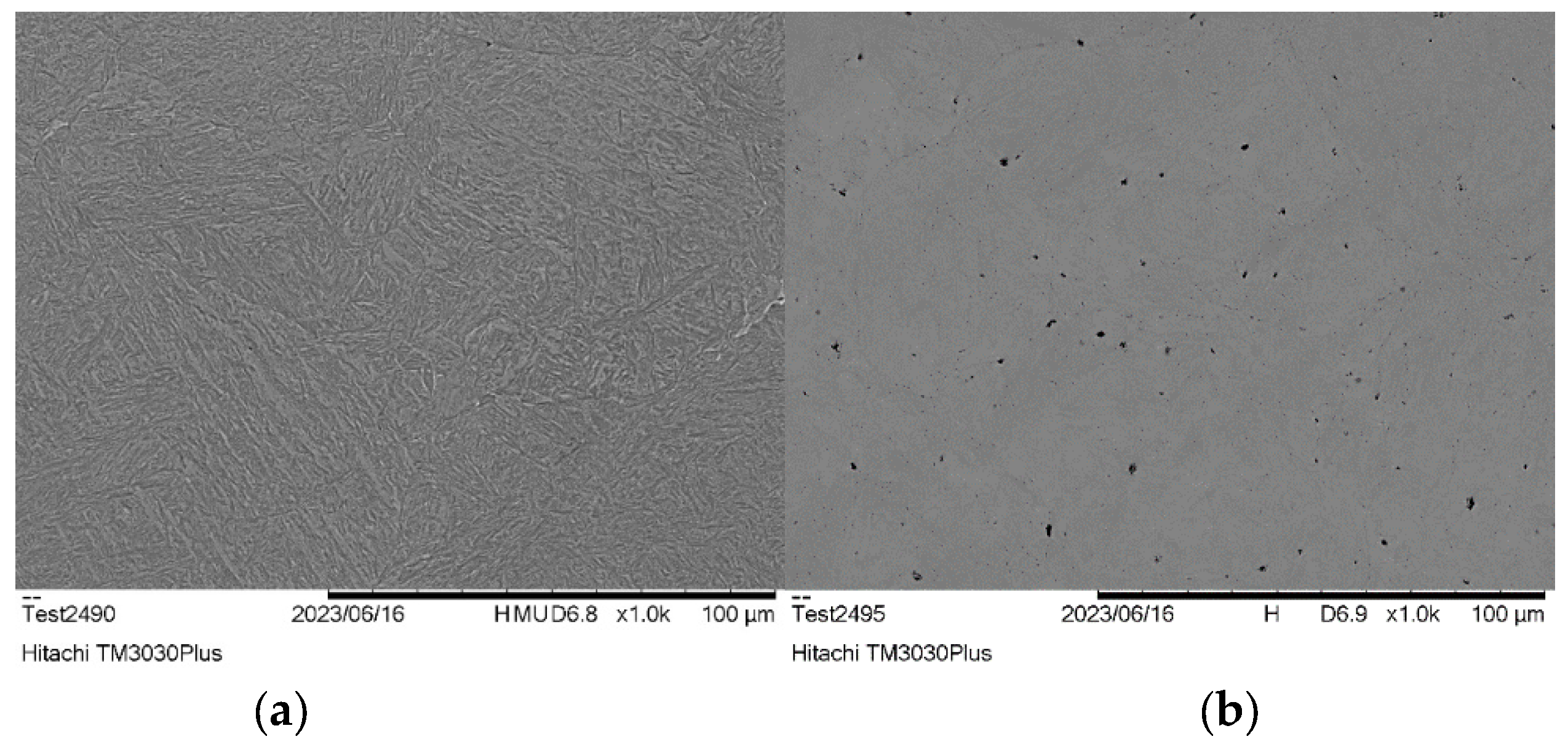 Preprints 215092 g011 Preprints 215092 g011