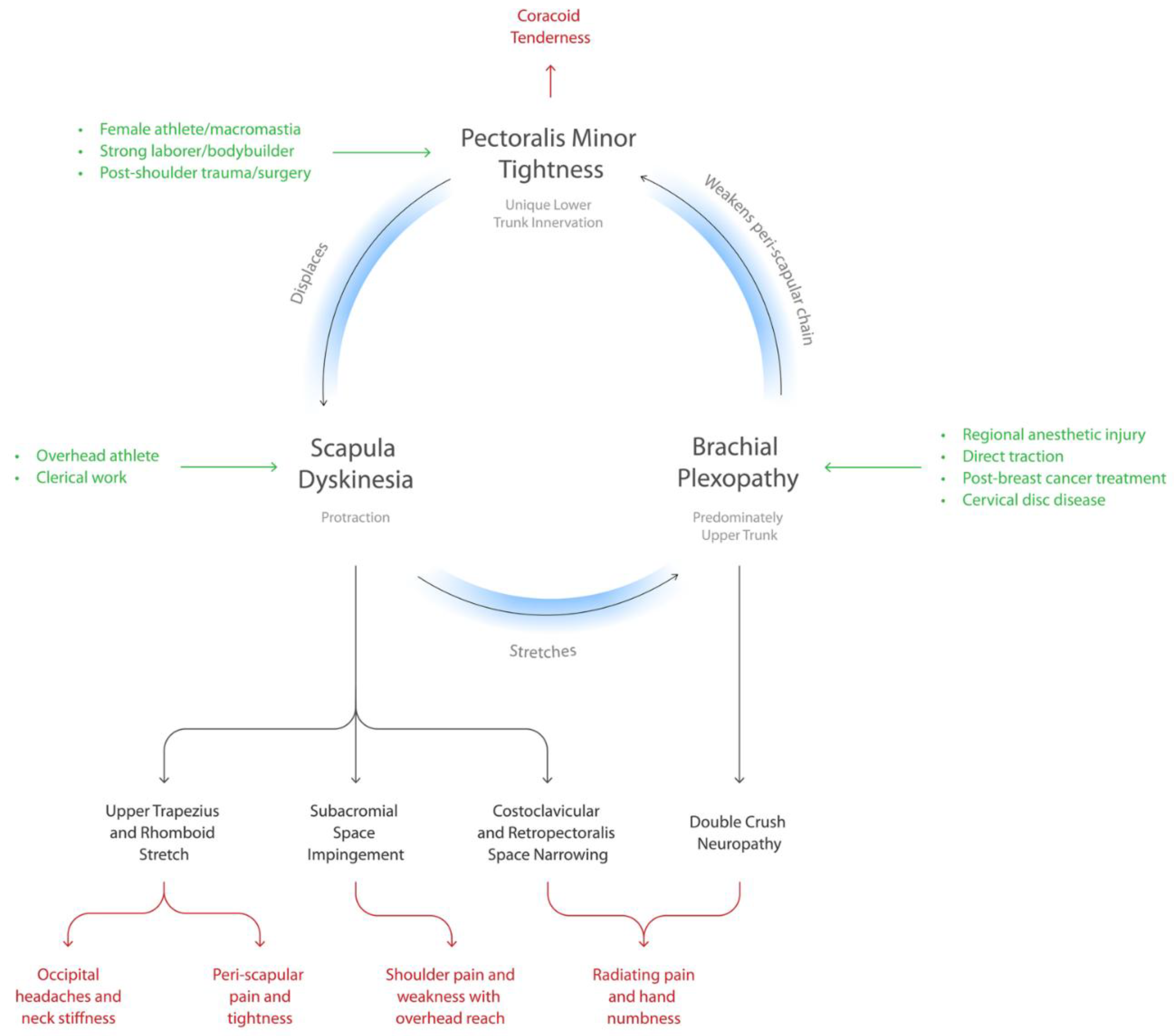 Preprints 165982 g001