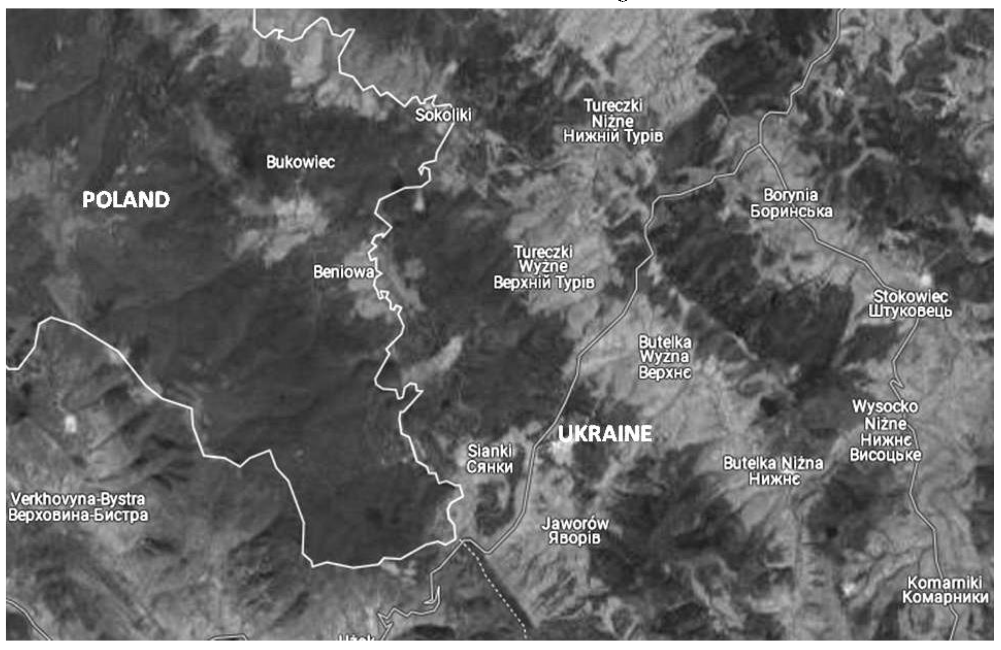 Preprints 139775 g005