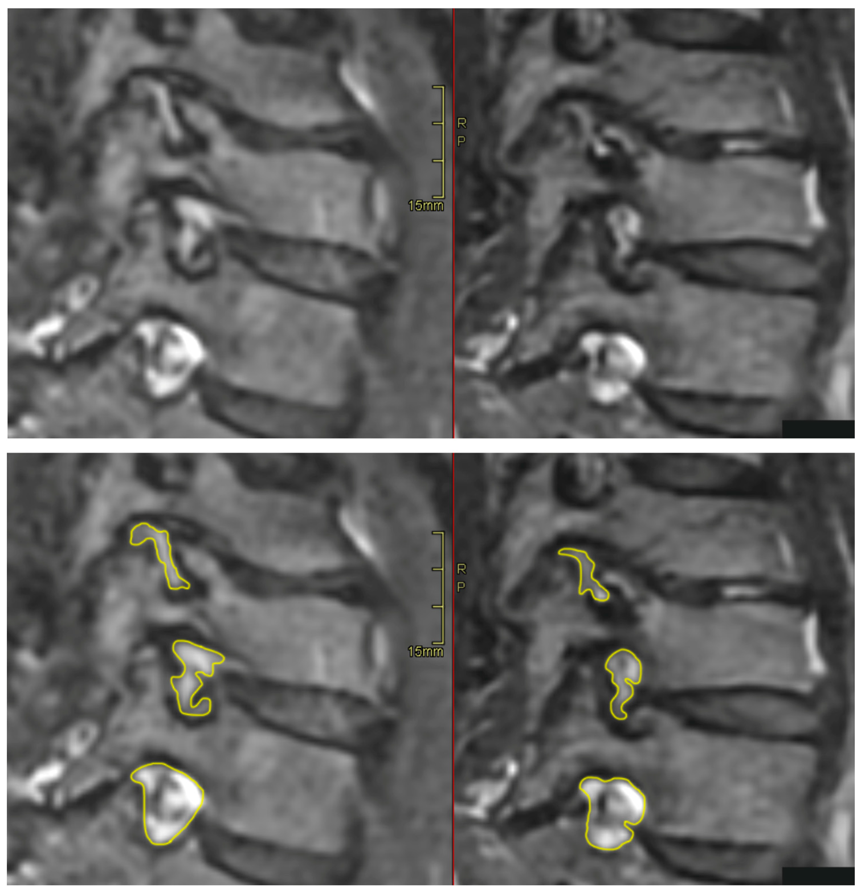 Preprints 83960 g002
