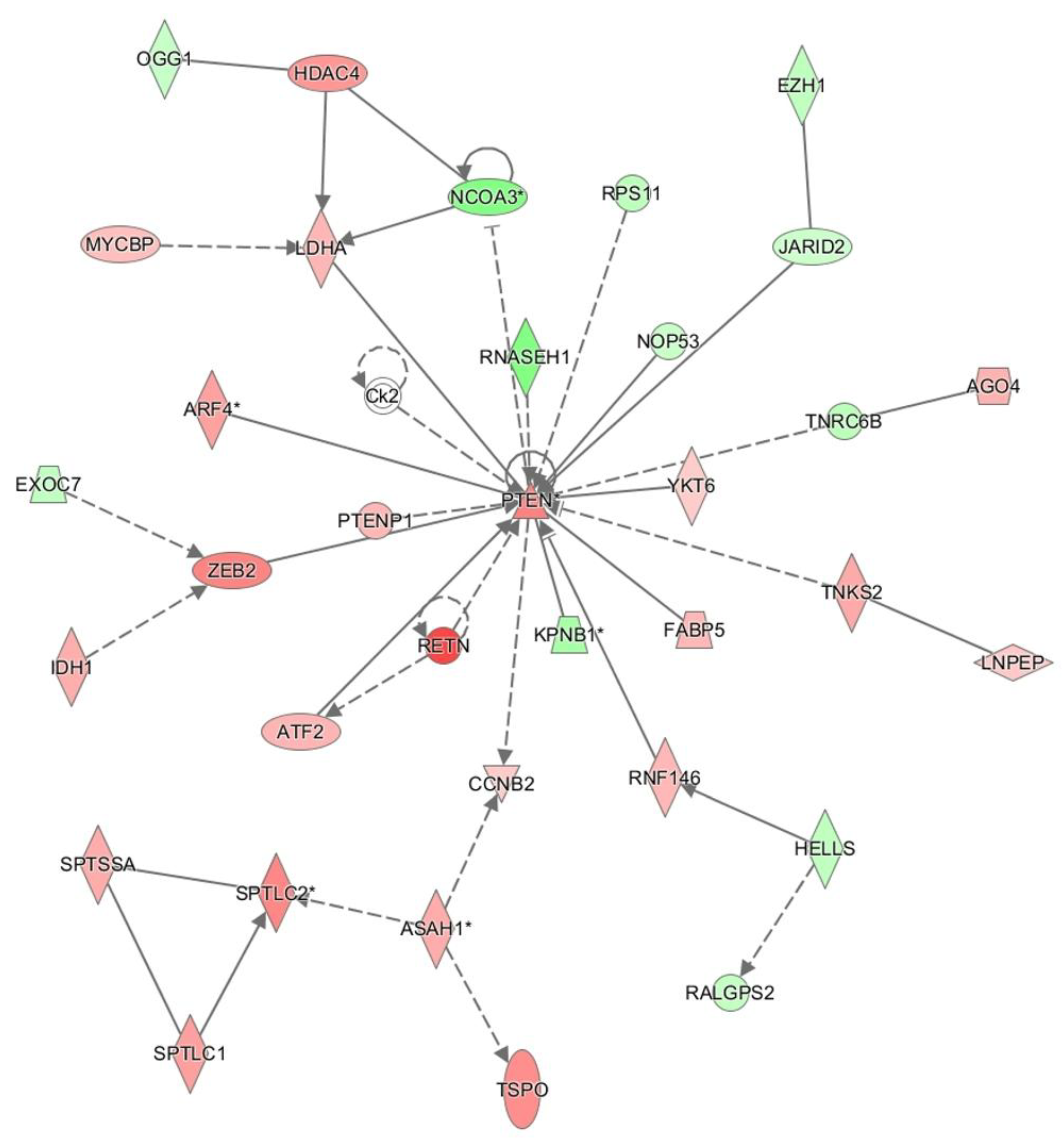 Preprints 155001 g002