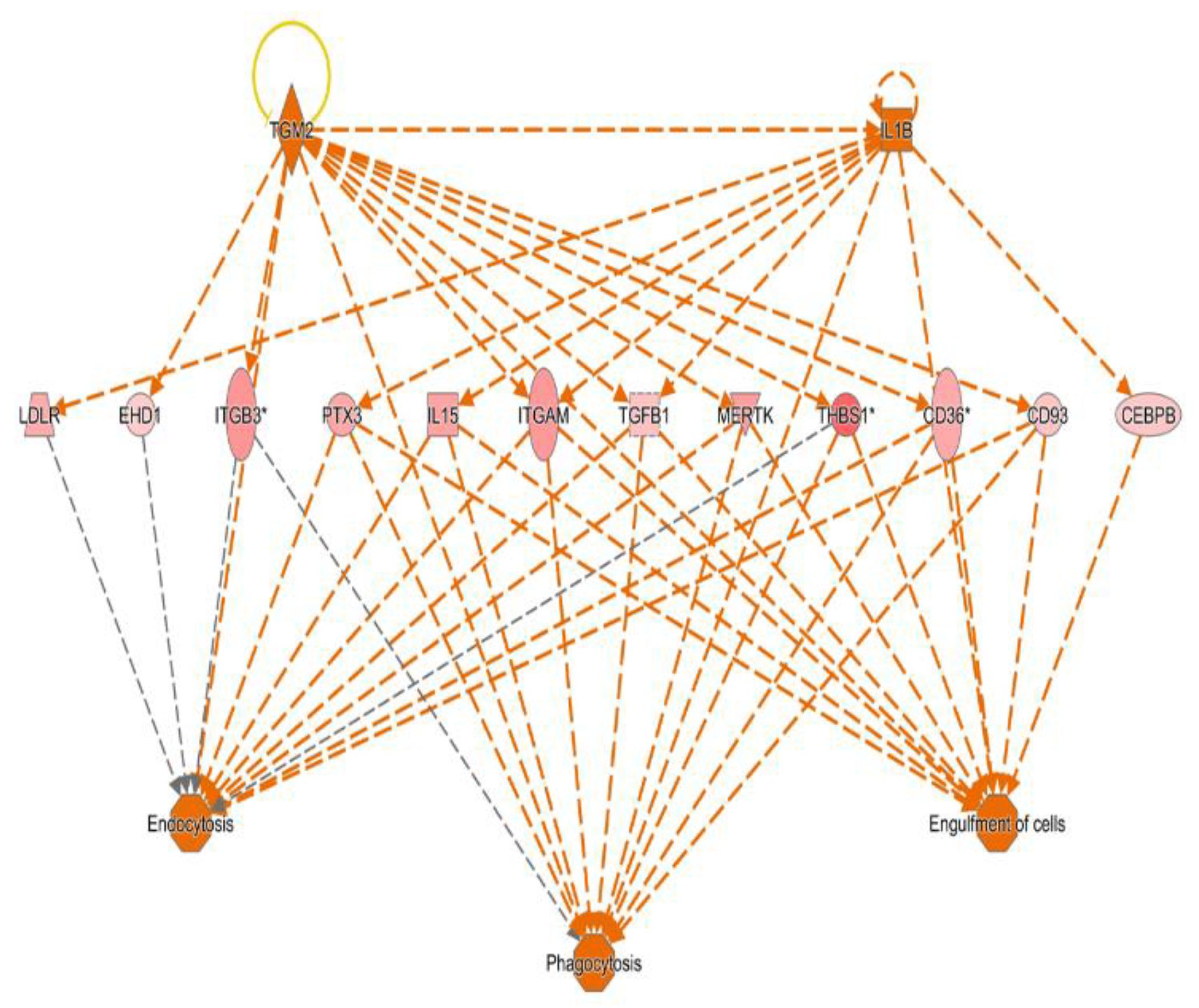 Preprints 155001 g004